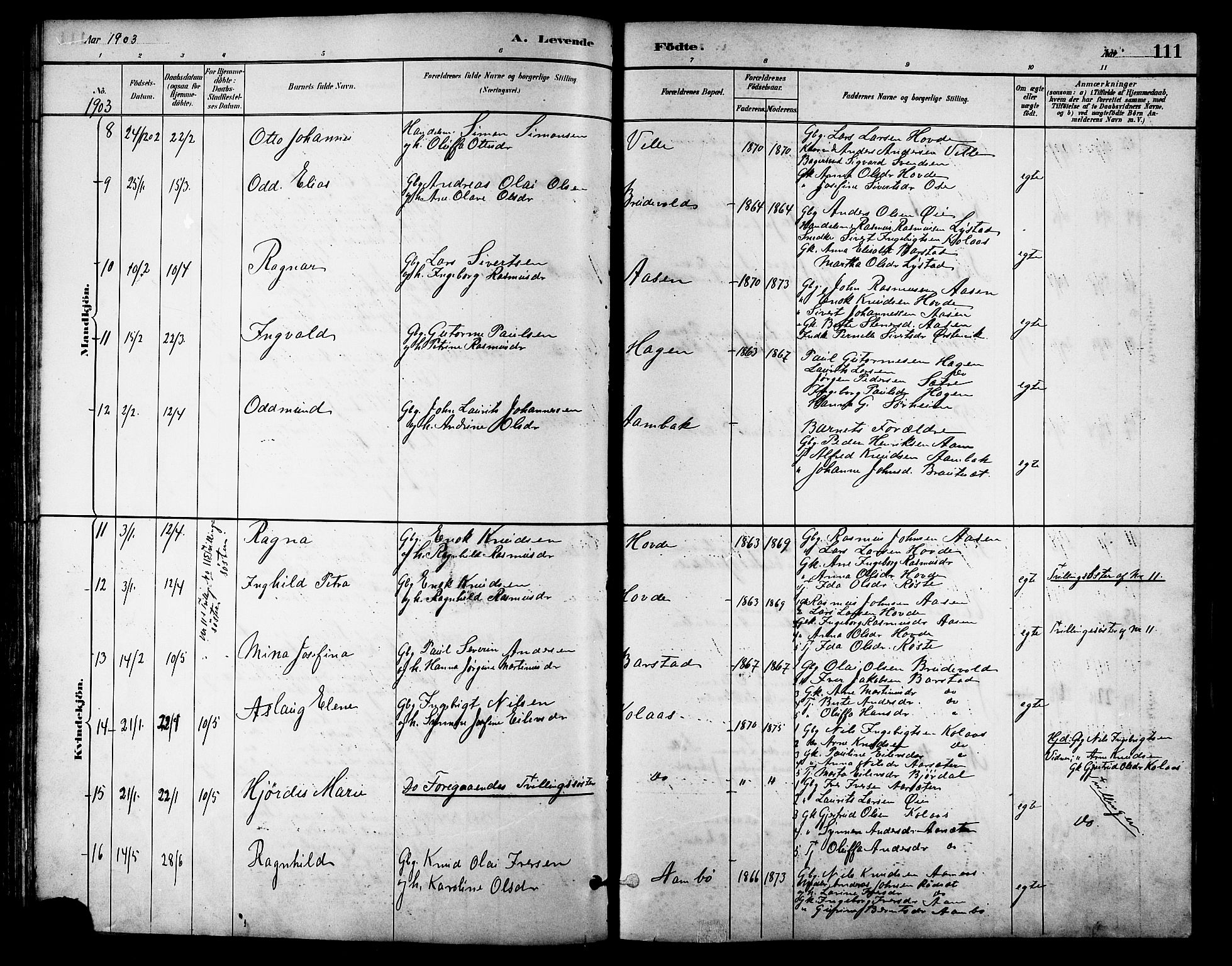 Ministerialprotokoller, klokkerbøker og fødselsregistre - Møre og Romsdal, AV/SAT-A-1454/513/L0189: Klokkerbok nr. 513C03, 1883-1904, s. 111