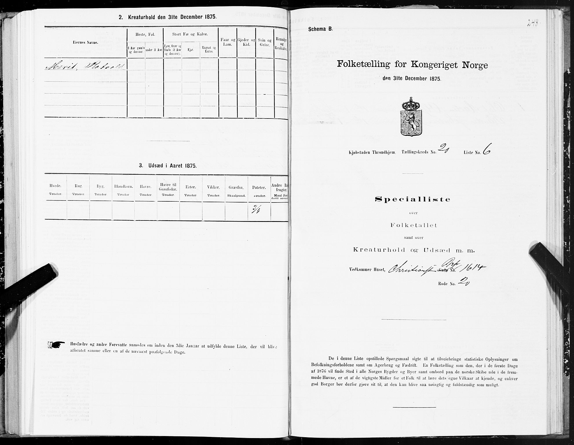 SAT, Folketelling 1875 for 1601 Trondheim kjøpstad, 1875, s. 10248