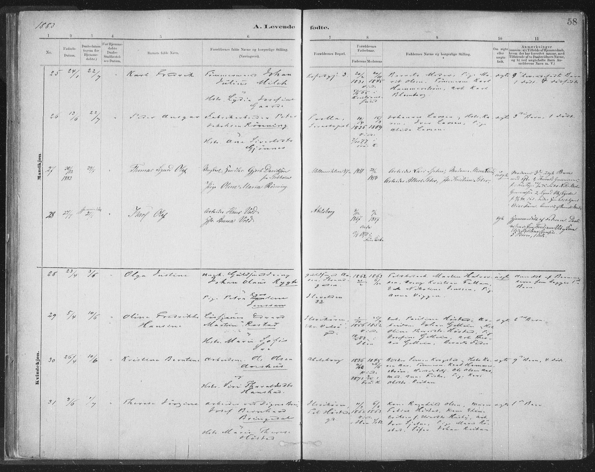 Ministerialprotokoller, klokkerbøker og fødselsregistre - Sør-Trøndelag, SAT/A-1456/603/L0162: Ministerialbok nr. 603A01, 1879-1895, s. 58