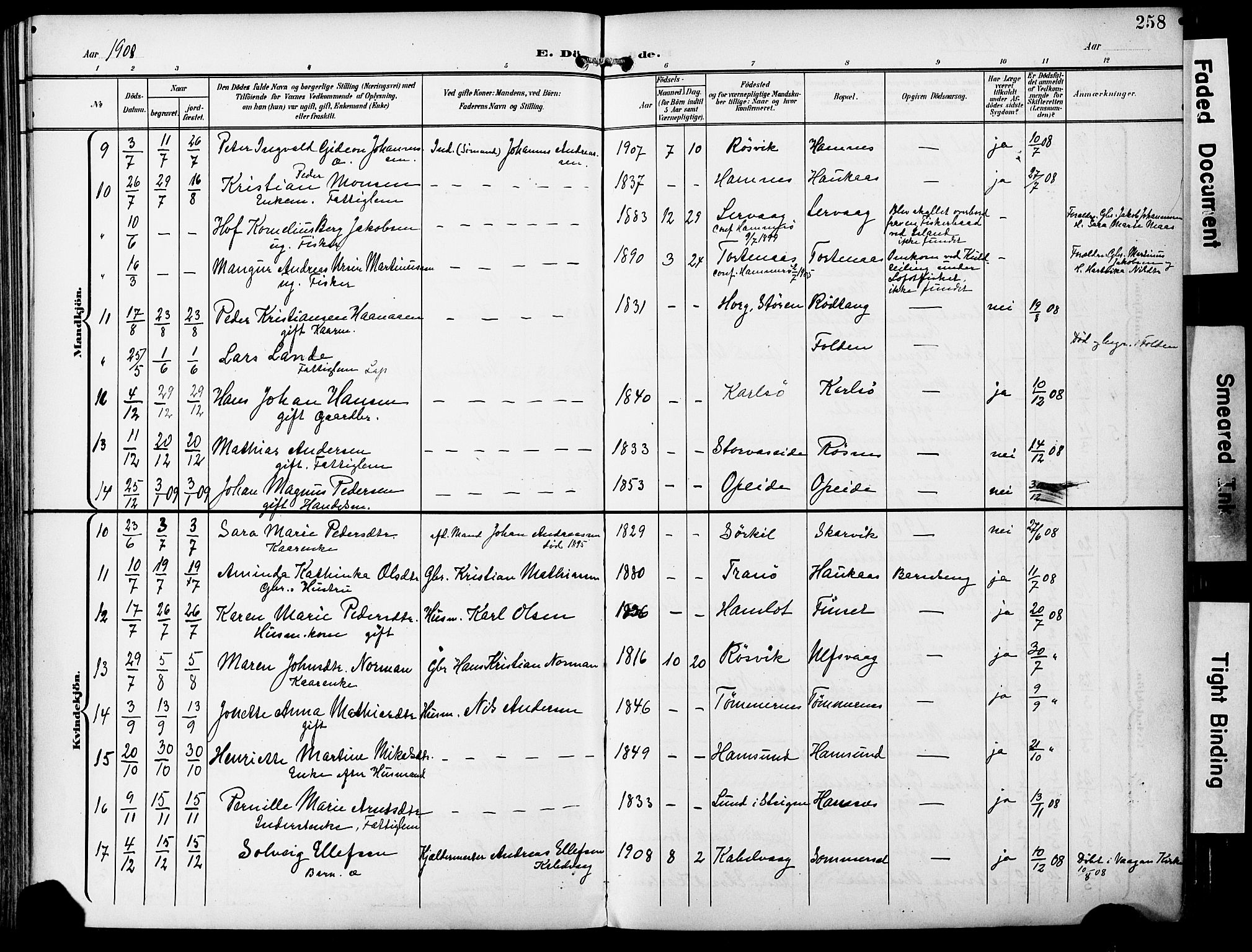 Ministerialprotokoller, klokkerbøker og fødselsregistre - Nordland, AV/SAT-A-1459/859/L0848: Ministerialbok nr. 859A08, 1900-1912, s. 258