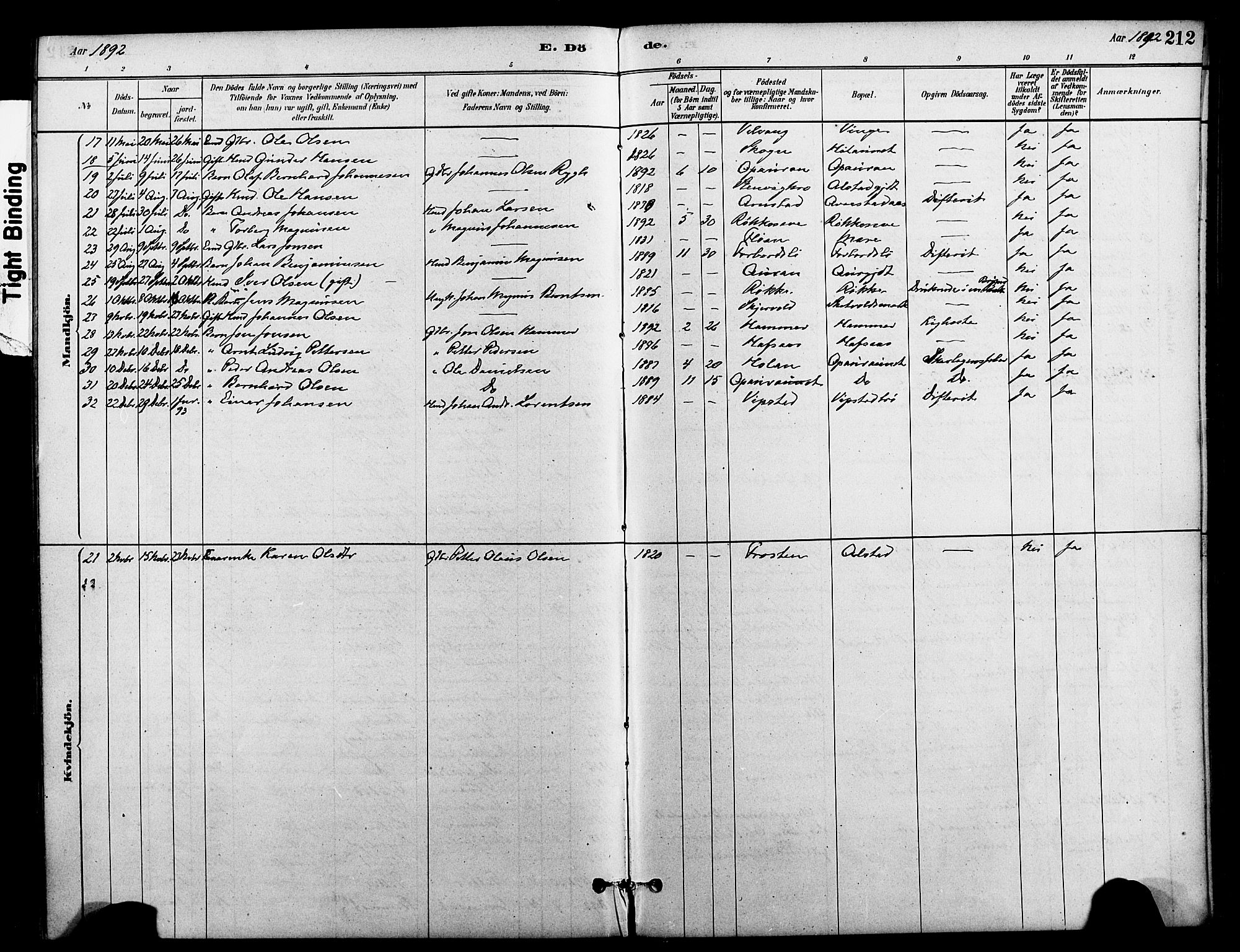 Ministerialprotokoller, klokkerbøker og fødselsregistre - Nord-Trøndelag, SAT/A-1458/712/L0100: Ministerialbok nr. 712A01, 1880-1900, s. 212