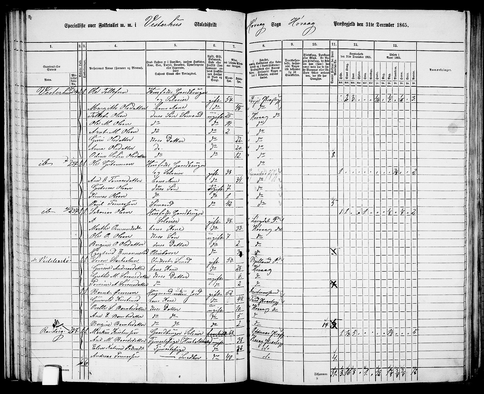RA, Folketelling 1865 for 0927P Høvåg prestegjeld, 1865, s. 67