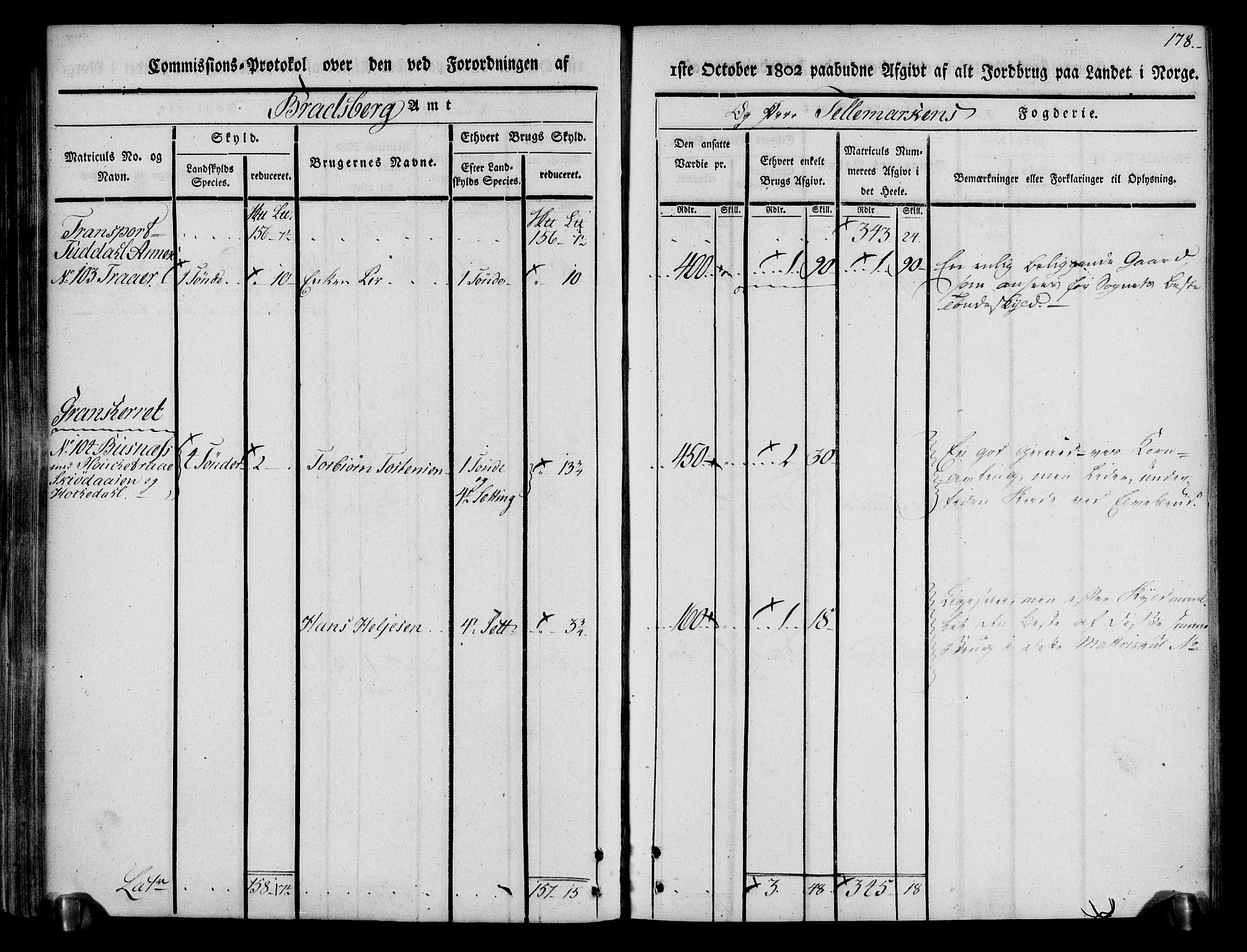 Rentekammeret inntil 1814, Realistisk ordnet avdeling, AV/RA-EA-4070/N/Ne/Nea/L0074: Øvre Telemarken fogderi. Kommisjonsprotokoll for fogderiets østre del - Tinn, Hjartdal og Seljord prestegjeld., 1803, s. 178