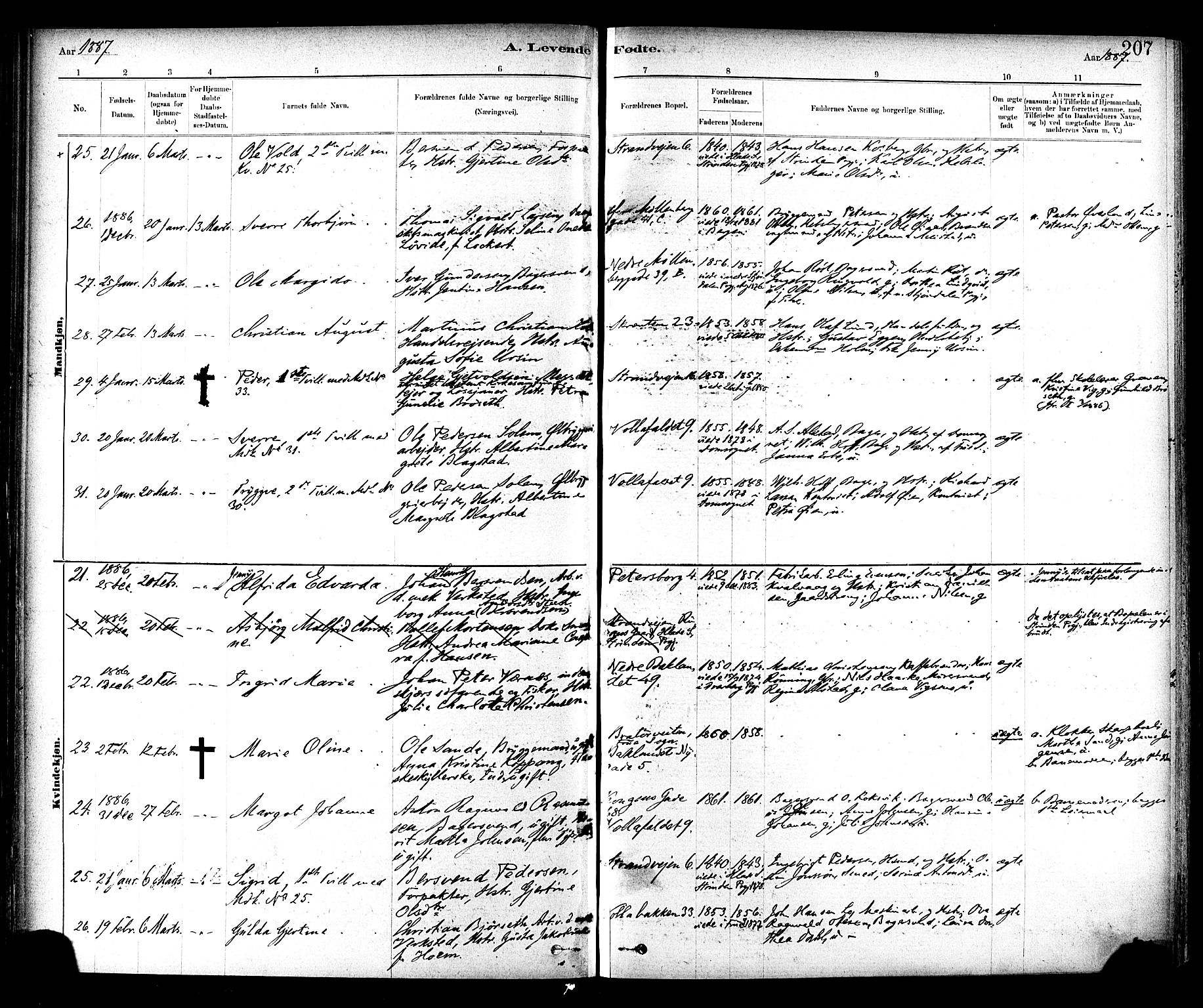 Ministerialprotokoller, klokkerbøker og fødselsregistre - Sør-Trøndelag, SAT/A-1456/604/L0188: Ministerialbok nr. 604A09, 1878-1892, s. 207