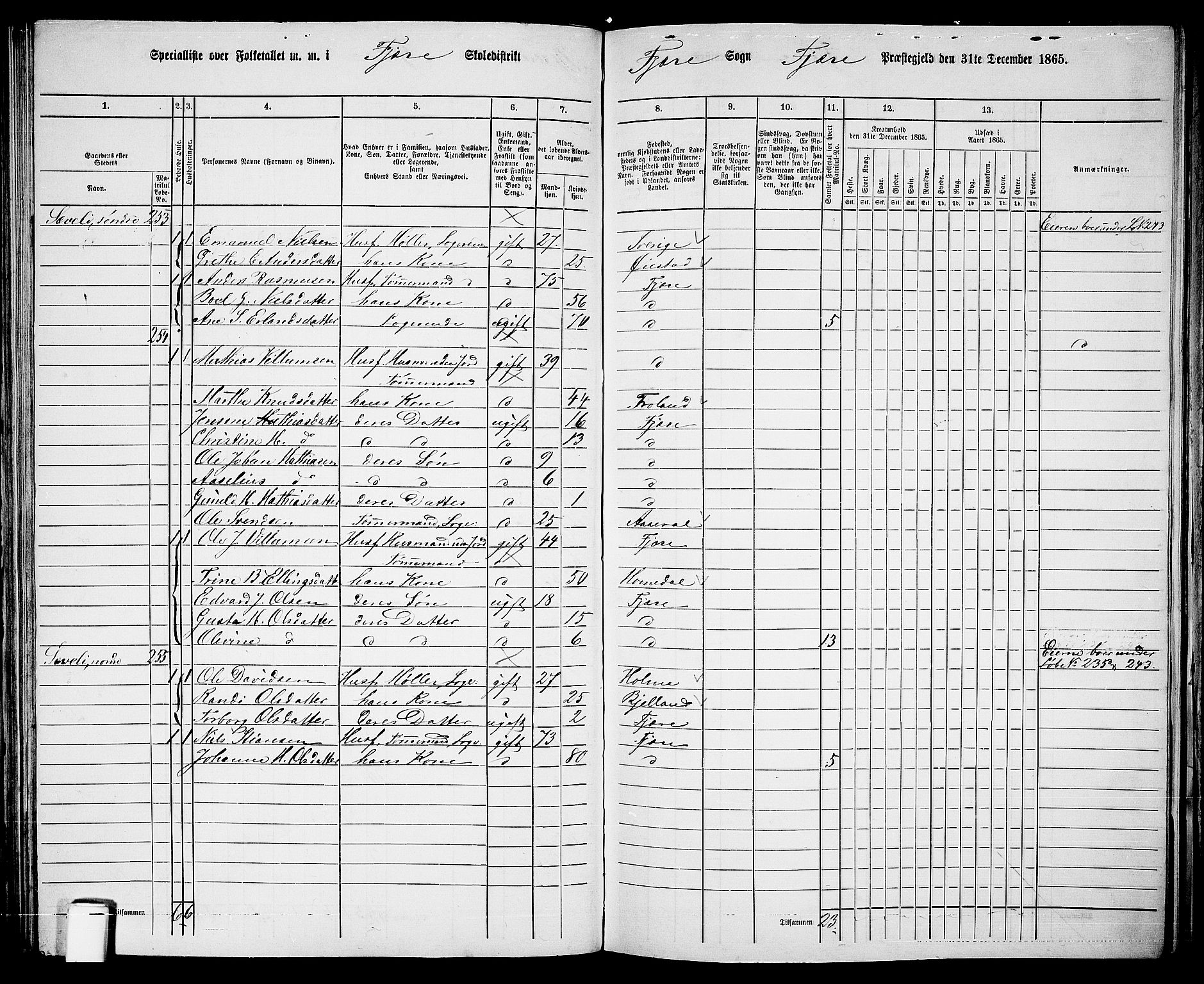 RA, Folketelling 1865 for 0923L Fjære prestegjeld, Fjære sokn, 1865, s. 80