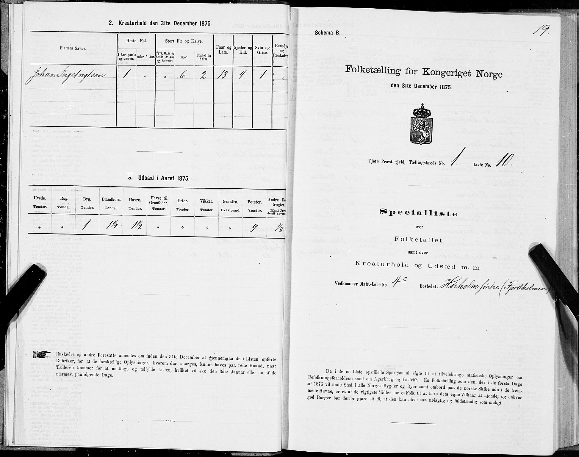SAT, Folketelling 1875 for 1817P Tjøtta prestegjeld, 1875, s. 1019