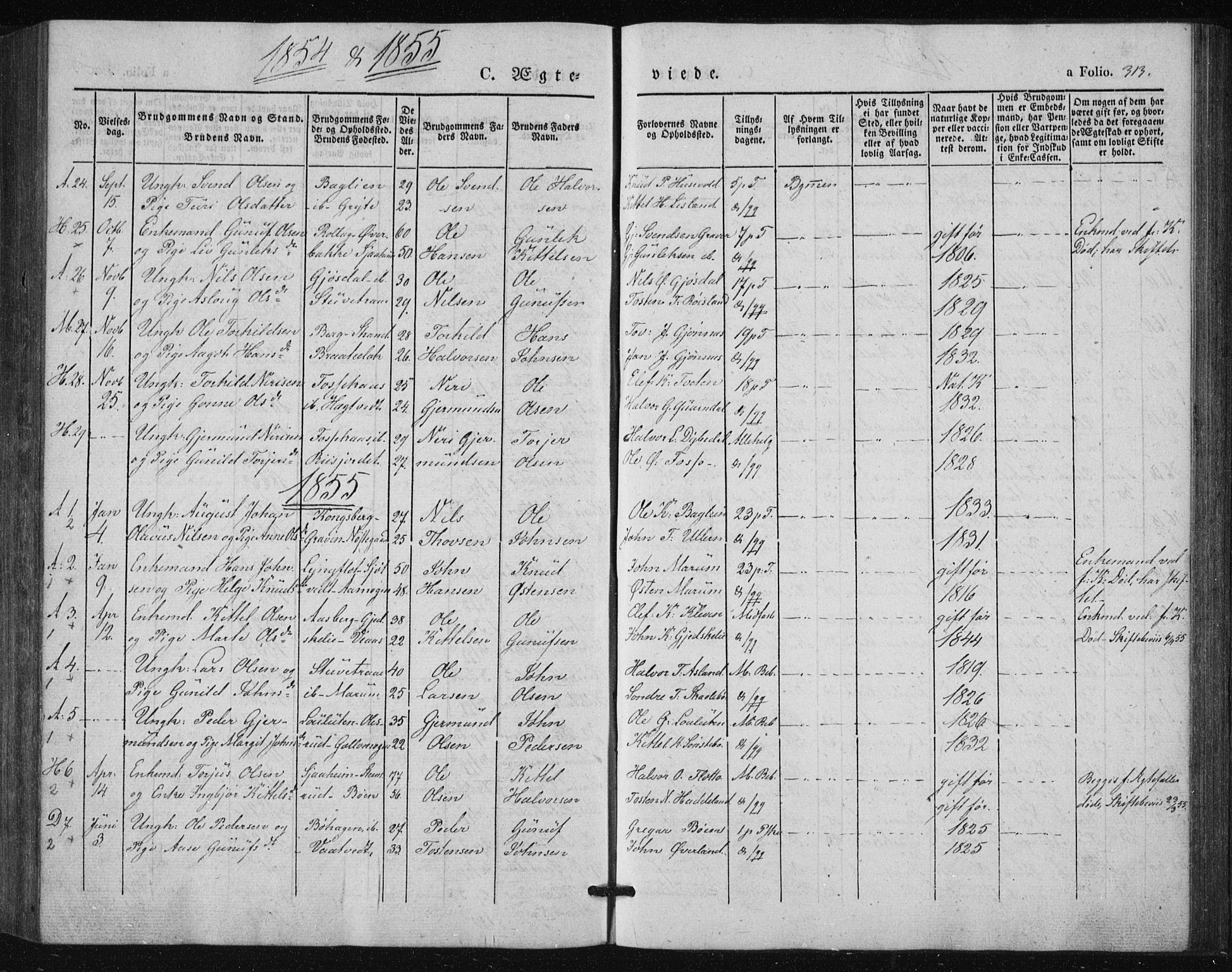 Tinn kirkebøker, AV/SAKO-A-308/F/Fa/L0005: Ministerialbok nr. I 5, 1844-1856, s. 313