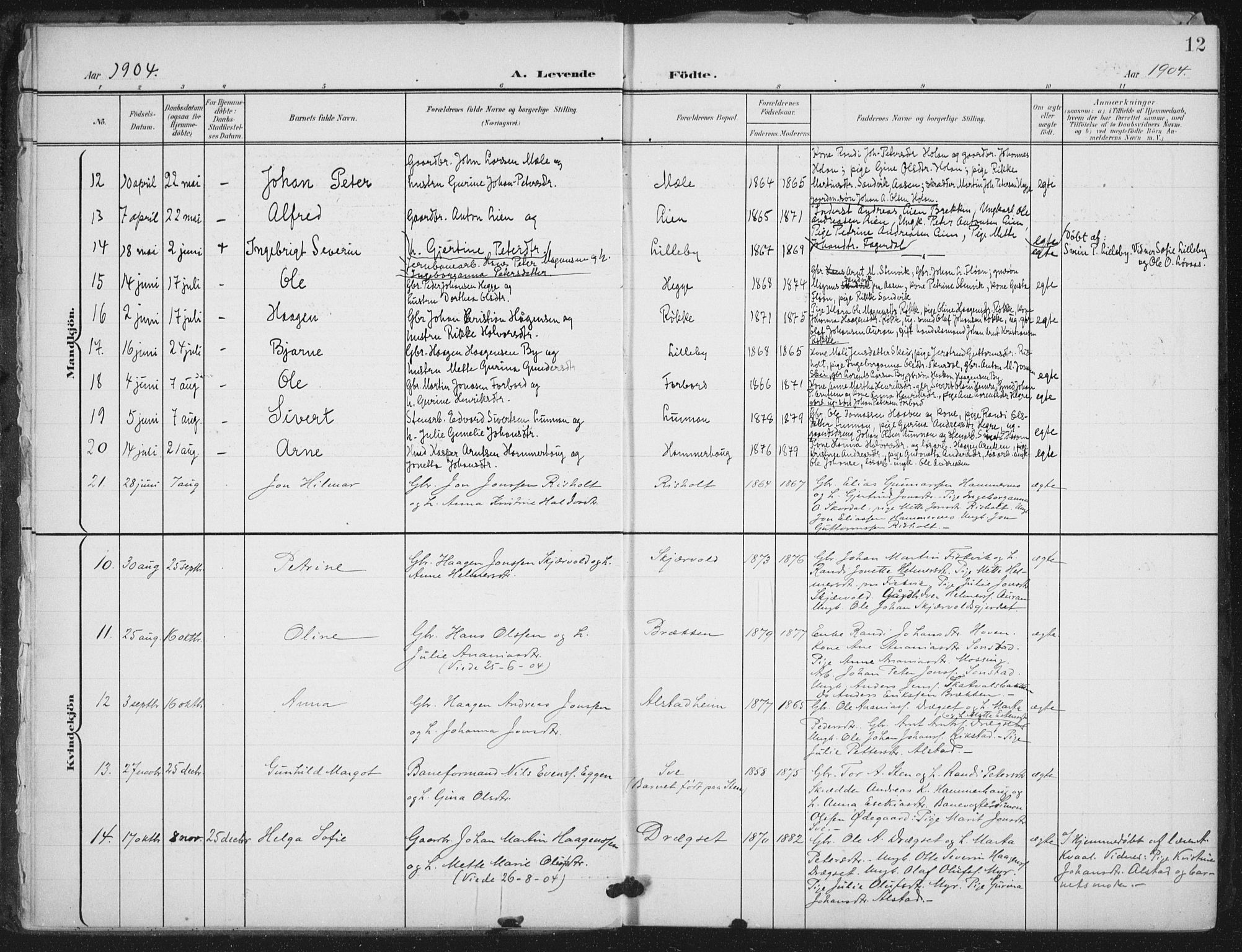 Ministerialprotokoller, klokkerbøker og fødselsregistre - Nord-Trøndelag, AV/SAT-A-1458/712/L0101: Ministerialbok nr. 712A02, 1901-1916, s. 12