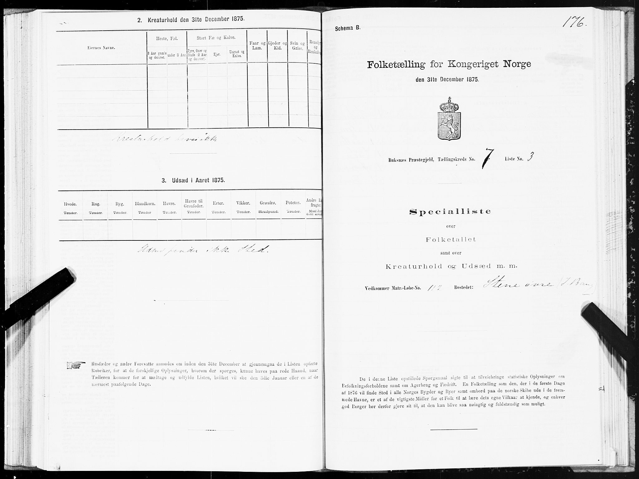 SAT, Folketelling 1875 for 1860P Buksnes prestegjeld, 1875, s. 3176