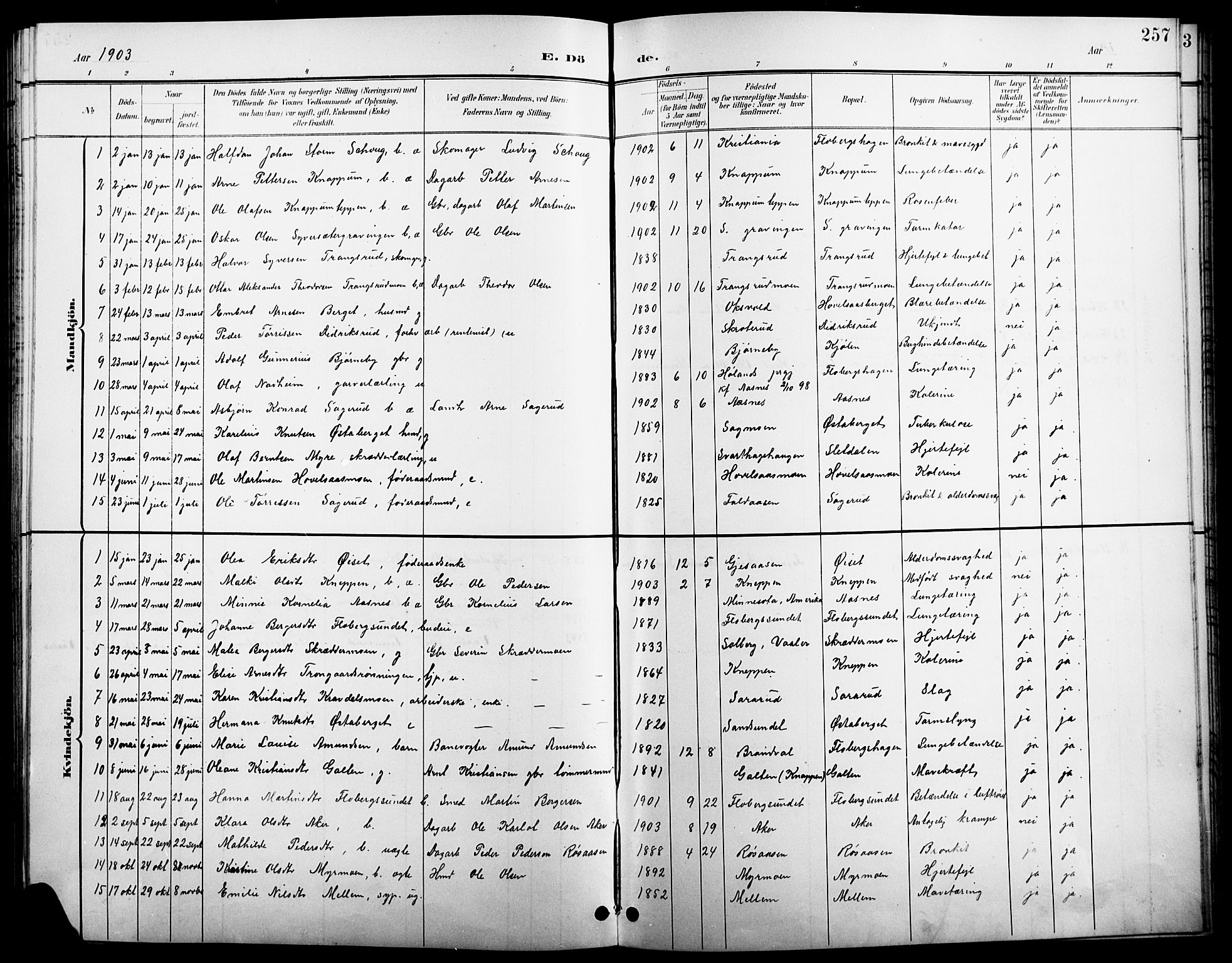 Åsnes prestekontor, SAH/PREST-042/H/Ha/Hab/L0004: Klokkerbok nr. 4, 1895-1909, s. 257