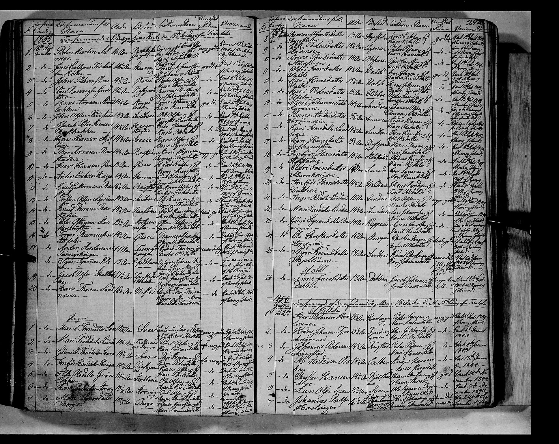 Vågå prestekontor, AV/SAH-PREST-076/H/Ha/Haa/L0005: Ministerialbok nr. 5 /1, 1842-1856, s. 293
