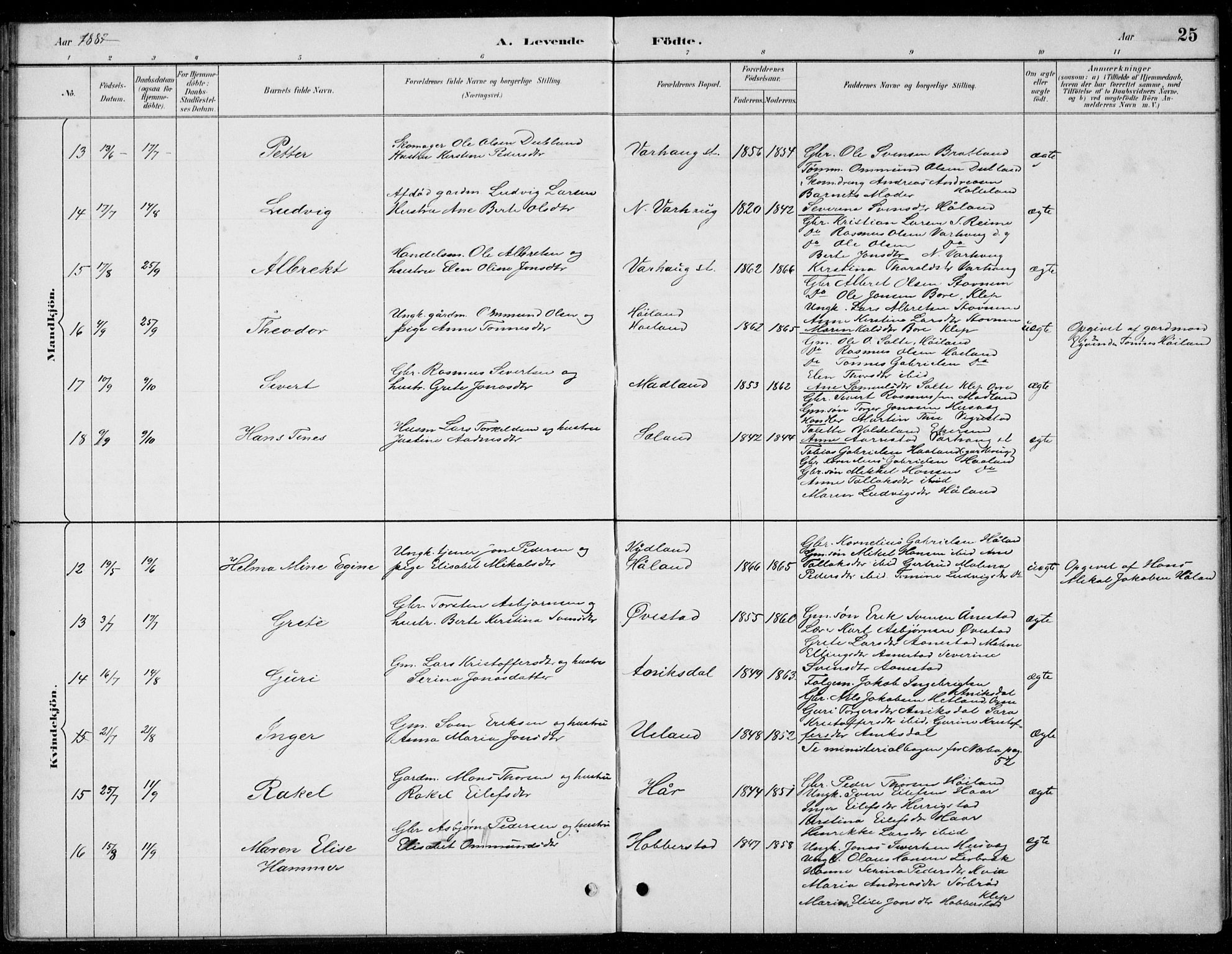 Hå sokneprestkontor, SAST/A-101801/001/30BB/L0004: Klokkerbok nr. B 4, 1883-1899, s. 25