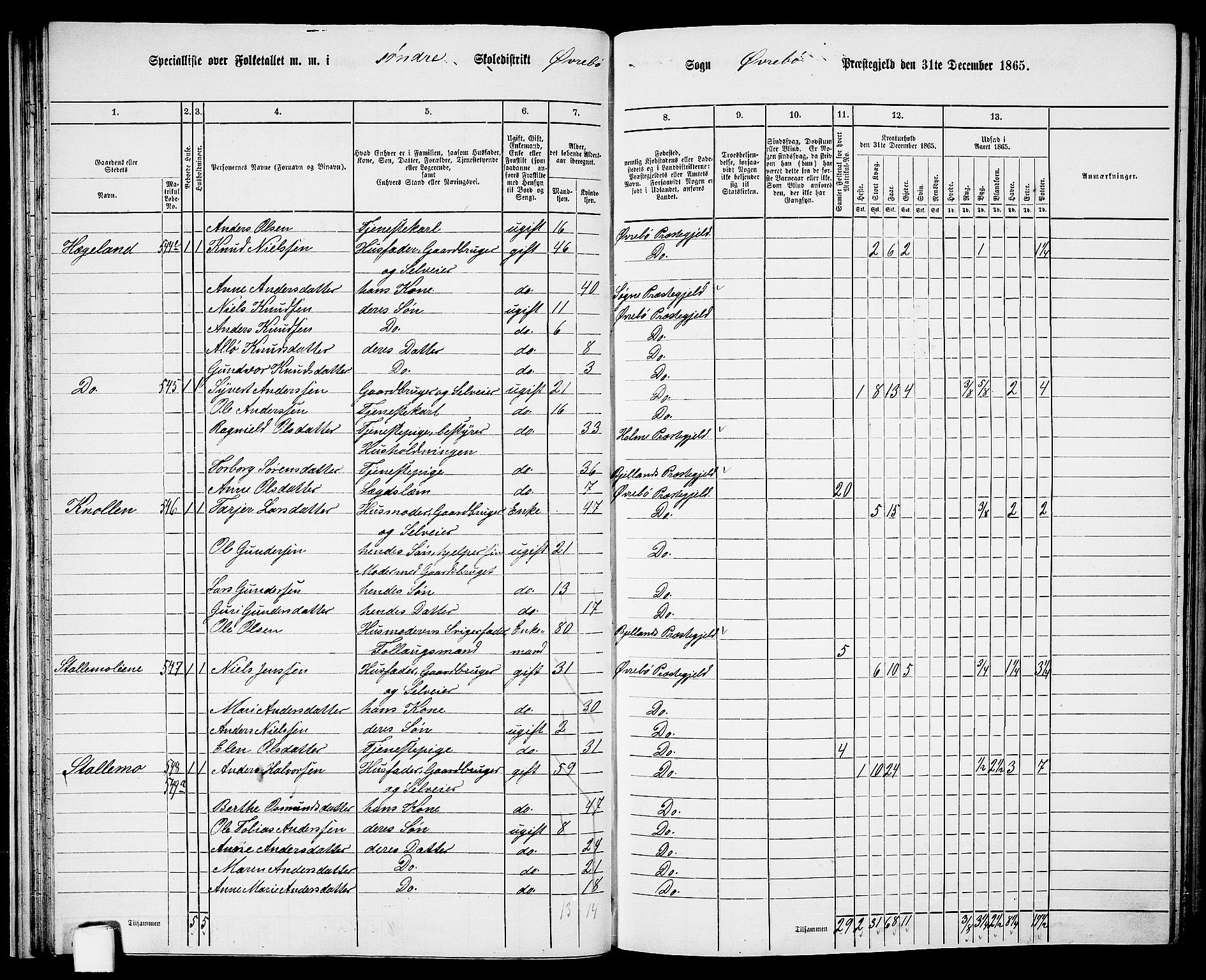 RA, Folketelling 1865 for 1016P Øvrebø prestegjeld, 1865, s. 40