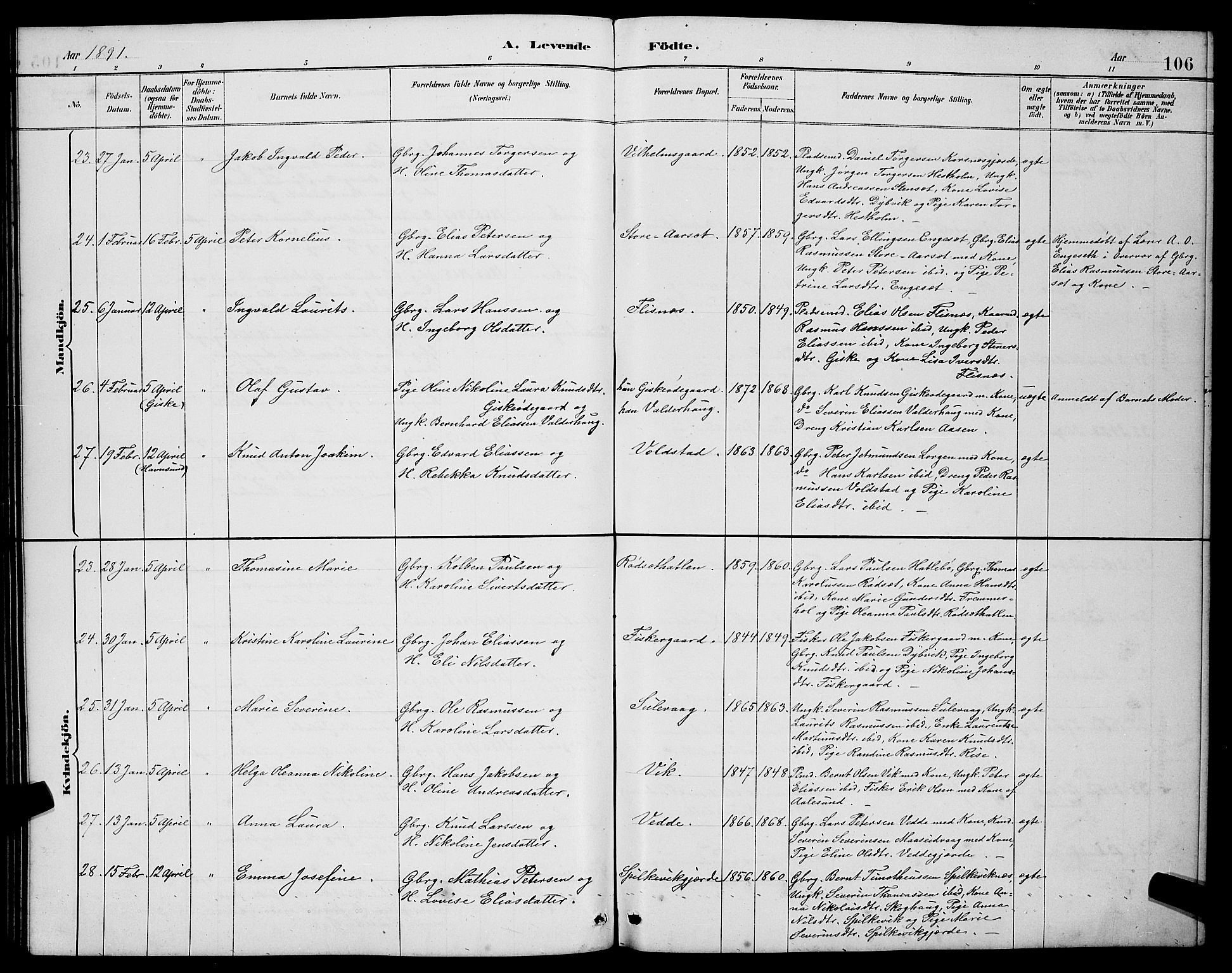 Ministerialprotokoller, klokkerbøker og fødselsregistre - Møre og Romsdal, AV/SAT-A-1454/528/L0431: Klokkerbok nr. 528C12, 1885-1898, s. 106