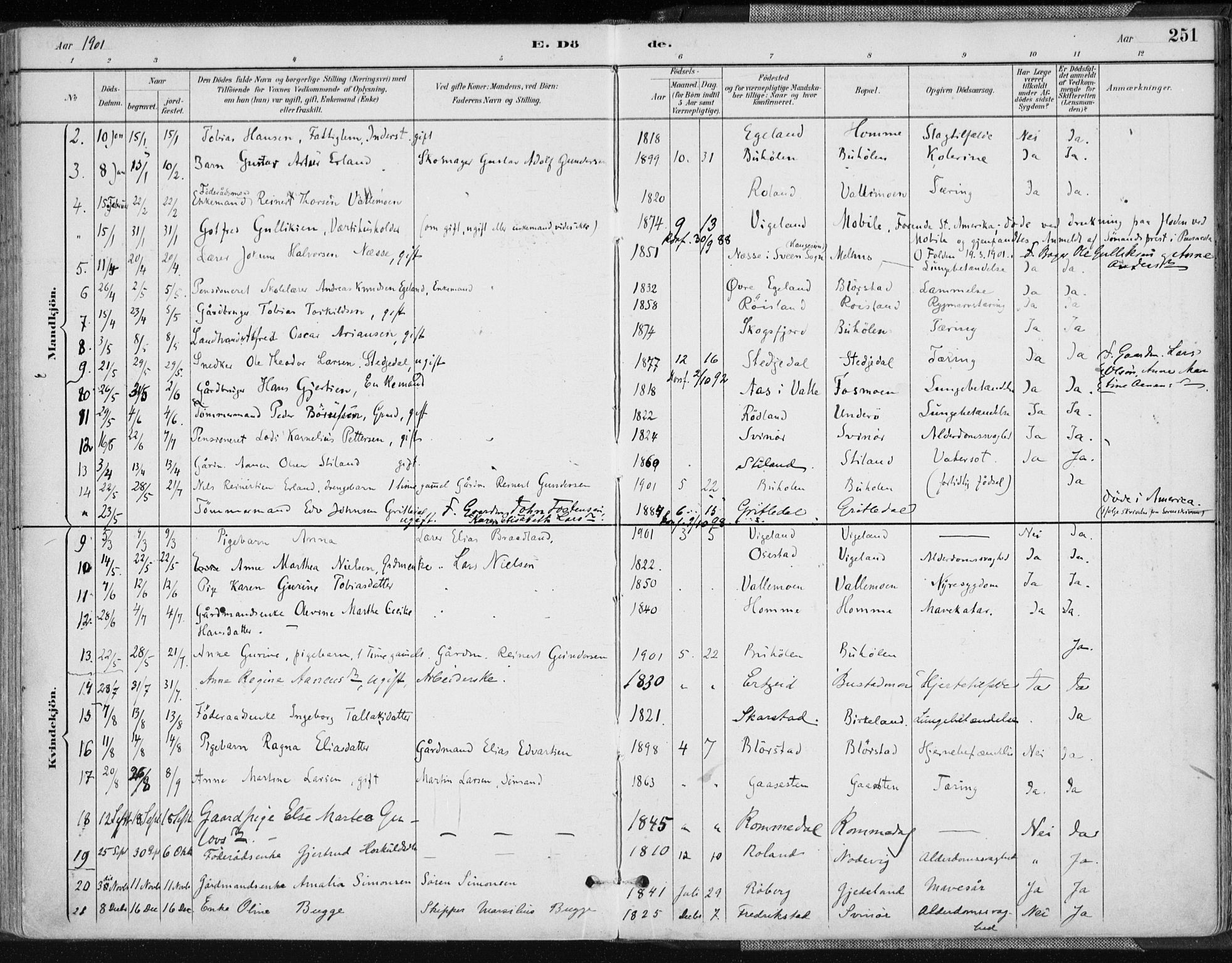 Sør-Audnedal sokneprestkontor, AV/SAK-1111-0039/F/Fa/Fab/L0010: Ministerialbok nr. A 10, 1892-1913, s. 251