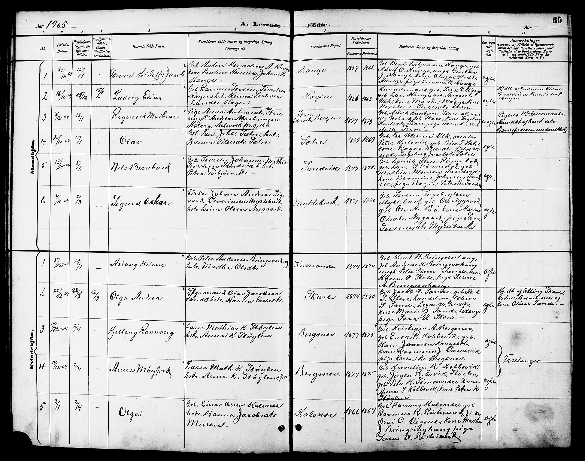 Ministerialprotokoller, klokkerbøker og fødselsregistre - Møre og Romsdal, AV/SAT-A-1454/503/L0049: Klokkerbok nr. 503C04, 1894-1915, s. 65