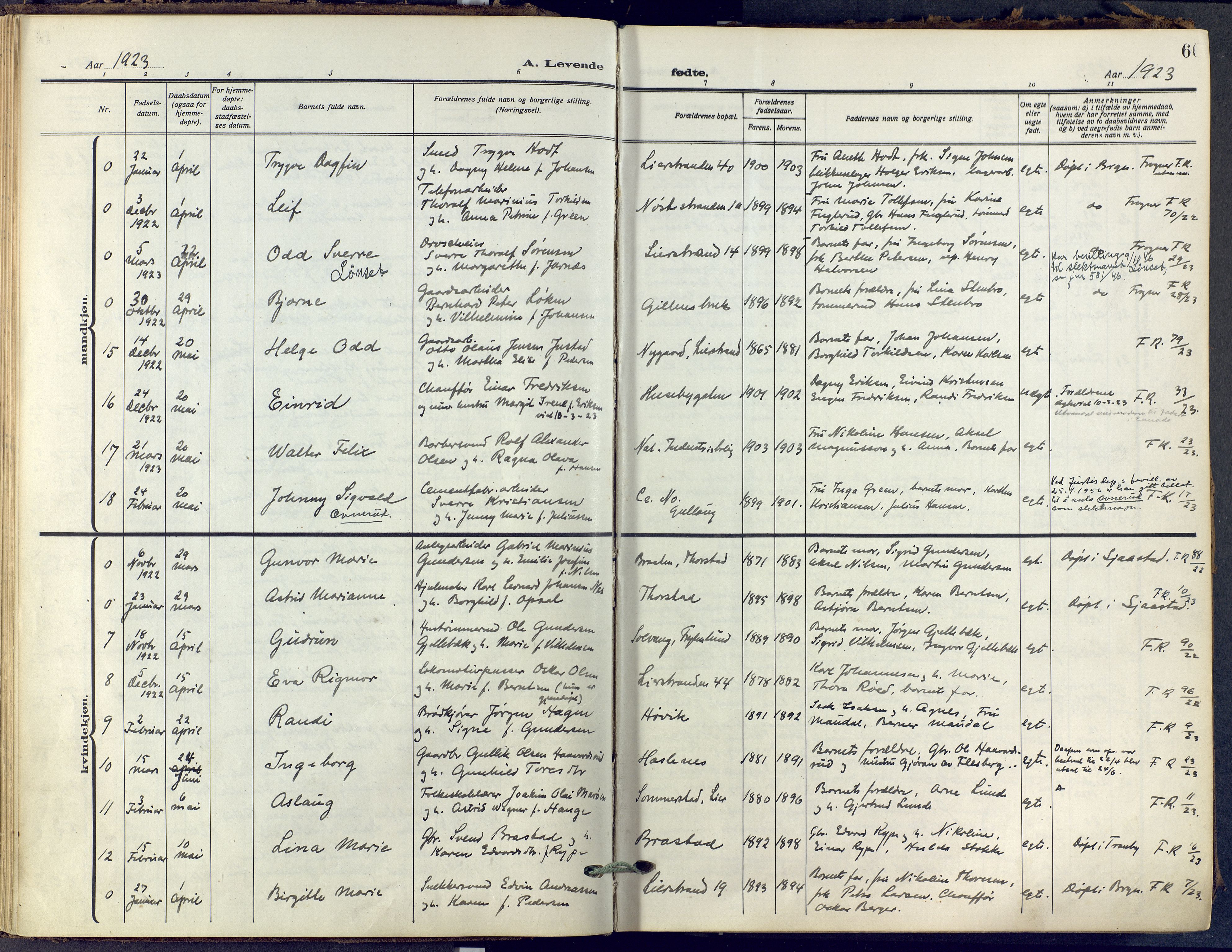 Lier kirkebøker, AV/SAKO-A-230/F/Fa/L0019: Ministerialbok nr. I 19, 1918-1928, s. 60