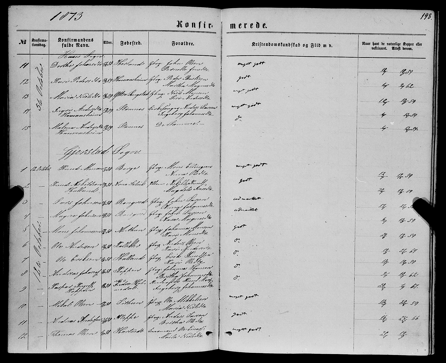 Haus sokneprestembete, SAB/A-75601/H/Haa: Ministerialbok nr. A 18, 1871-1877, s. 198