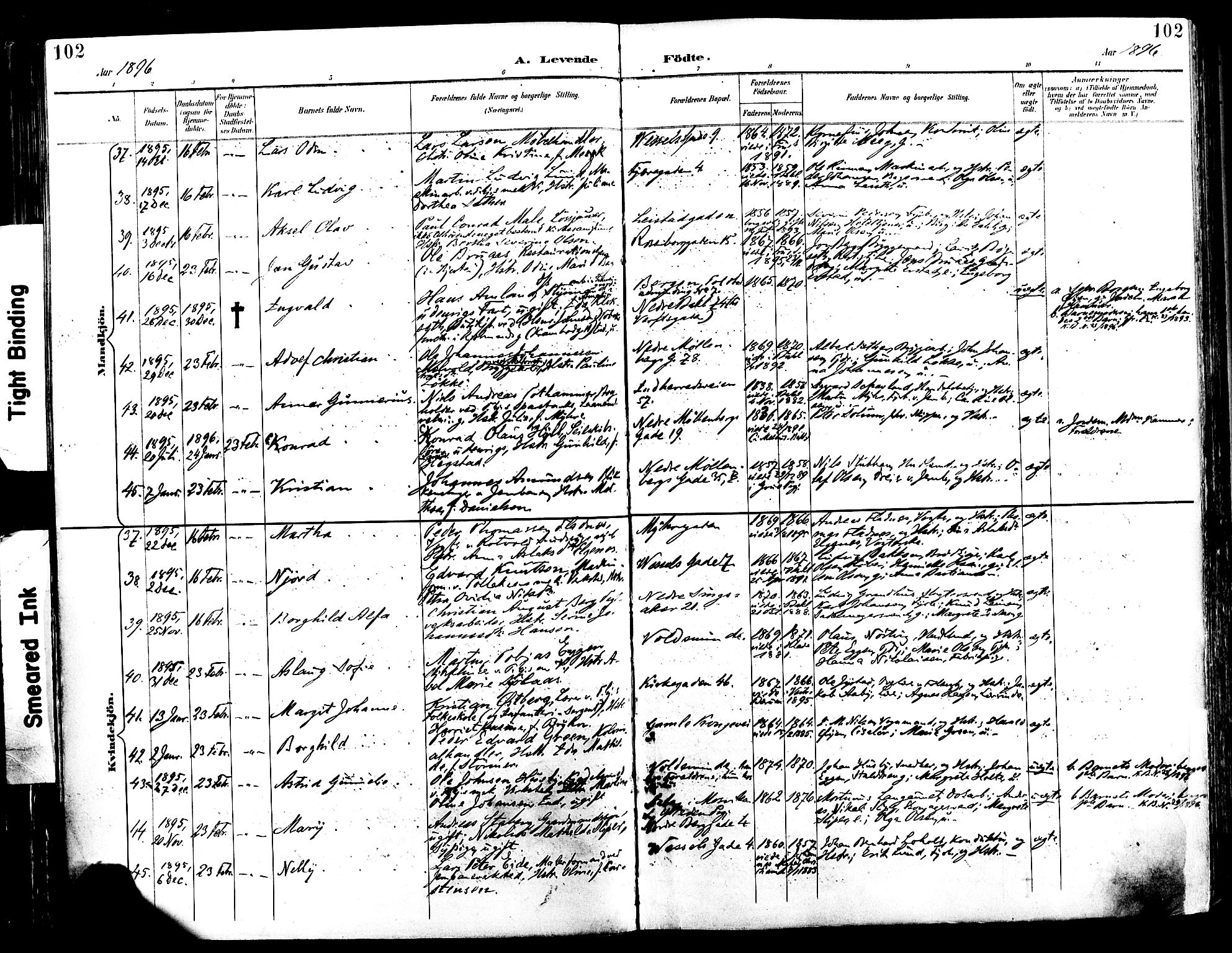 Ministerialprotokoller, klokkerbøker og fødselsregistre - Sør-Trøndelag, SAT/A-1456/604/L0197: Ministerialbok nr. 604A18, 1893-1900, s. 102