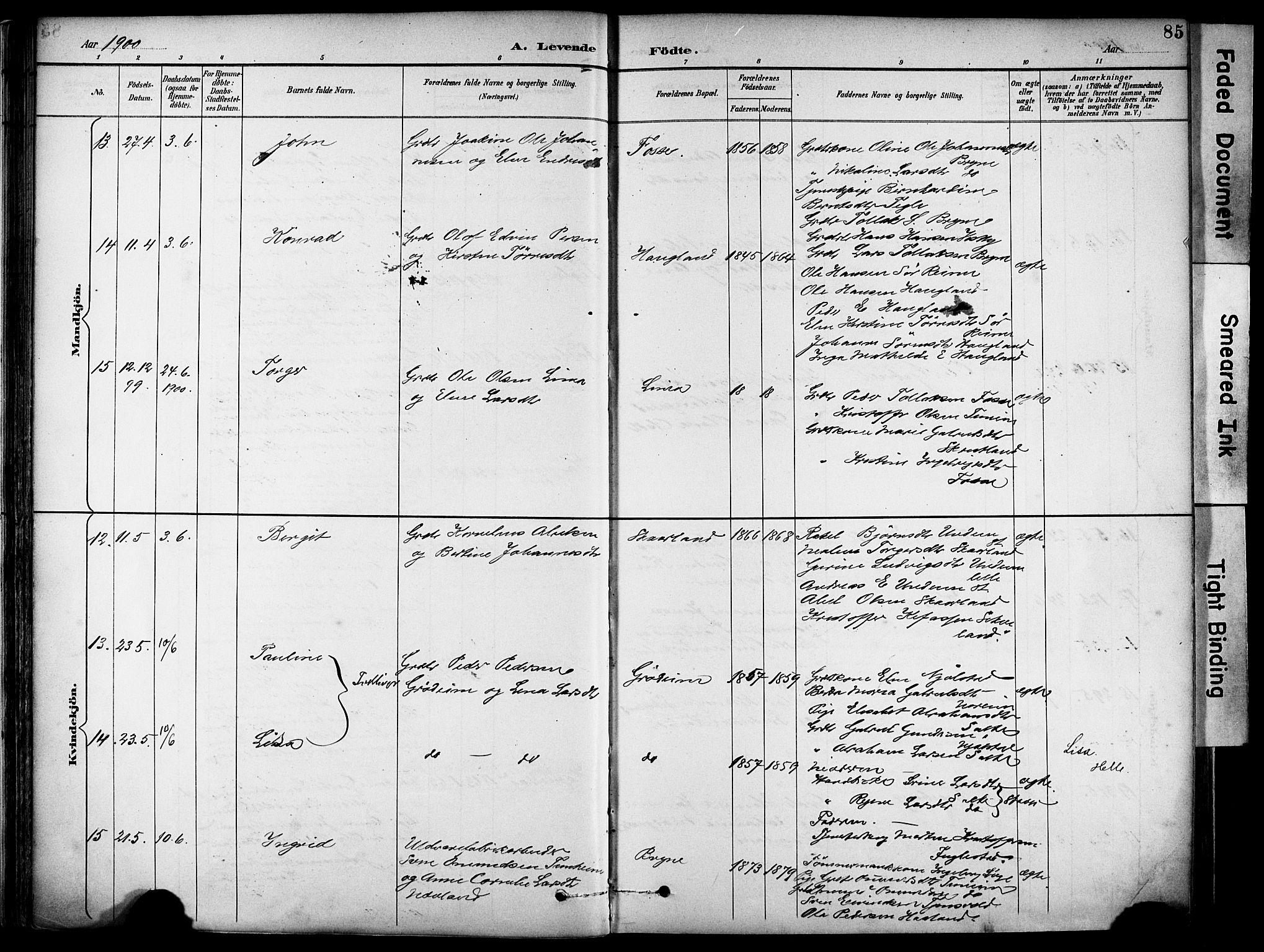 Lye sokneprestkontor, AV/SAST-A-101794/001/30BA/L0011: Ministerialbok nr. A 9, 1893-1903, s. 85