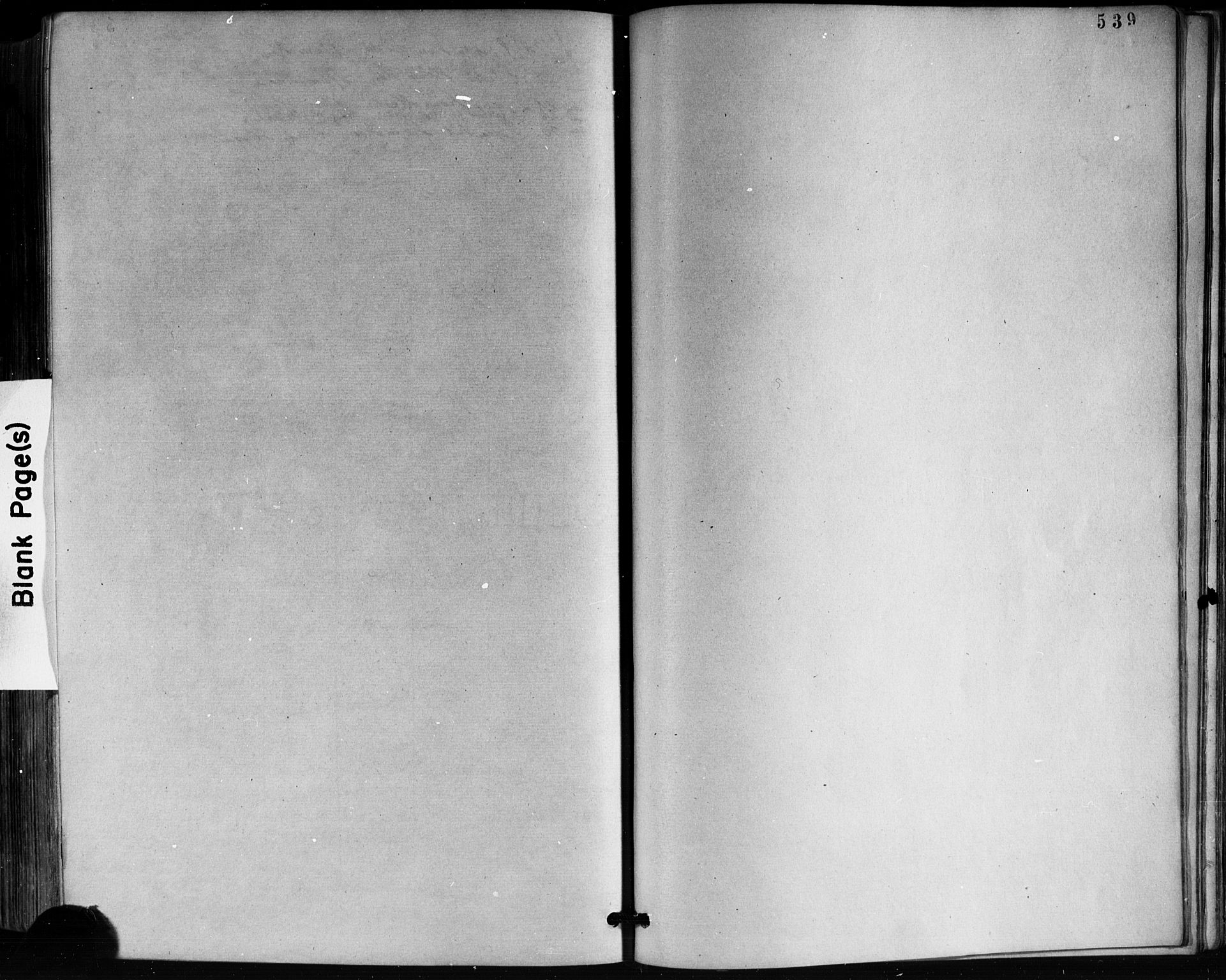 Horten kirkebøker, SAKO/A-348/F/Fa/L0002: Ministerialbok nr. 2, 1872-1877, s. 539