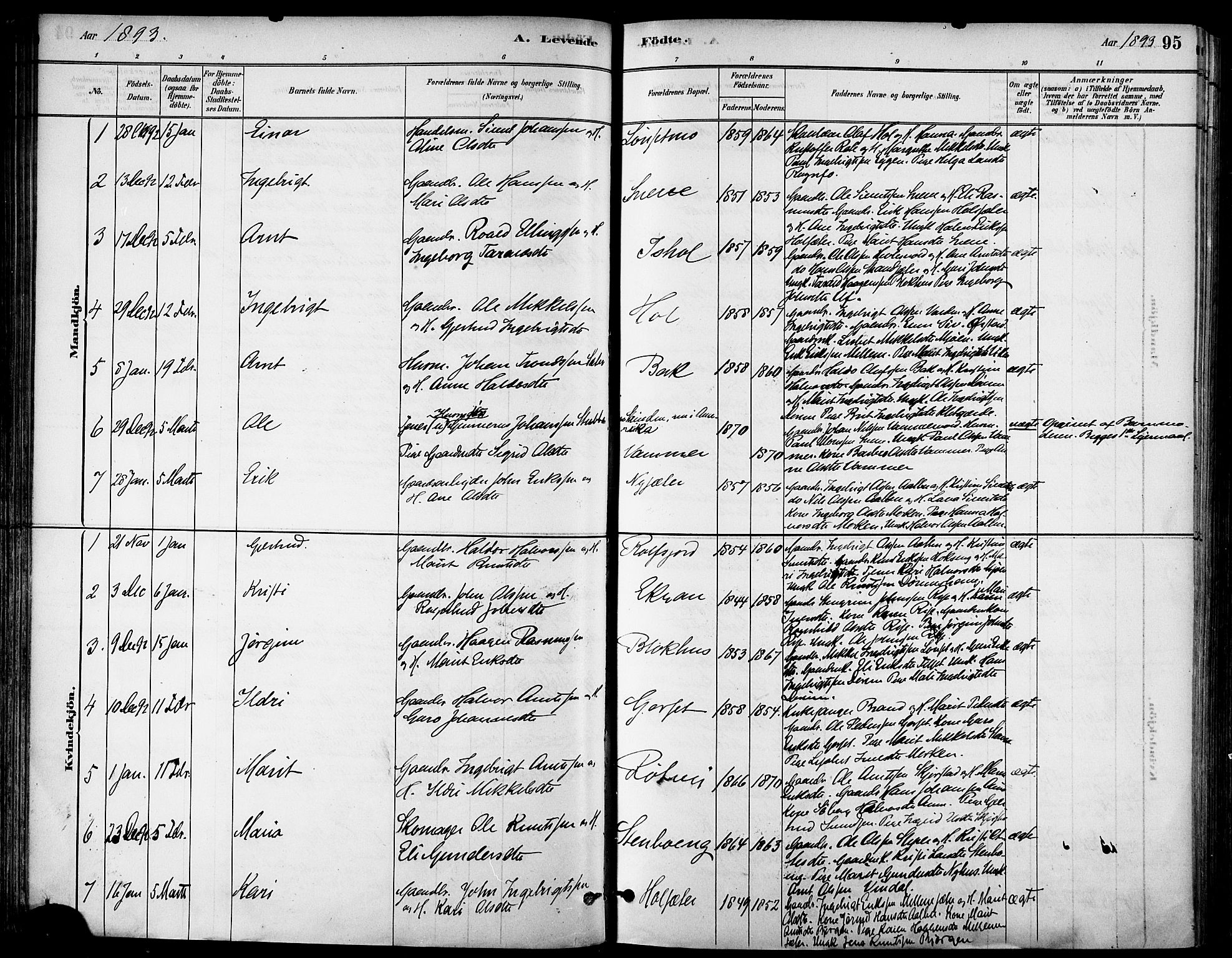Ministerialprotokoller, klokkerbøker og fødselsregistre - Sør-Trøndelag, AV/SAT-A-1456/678/L0901: Ministerialbok nr. 678A10, 1881-1894, s. 95