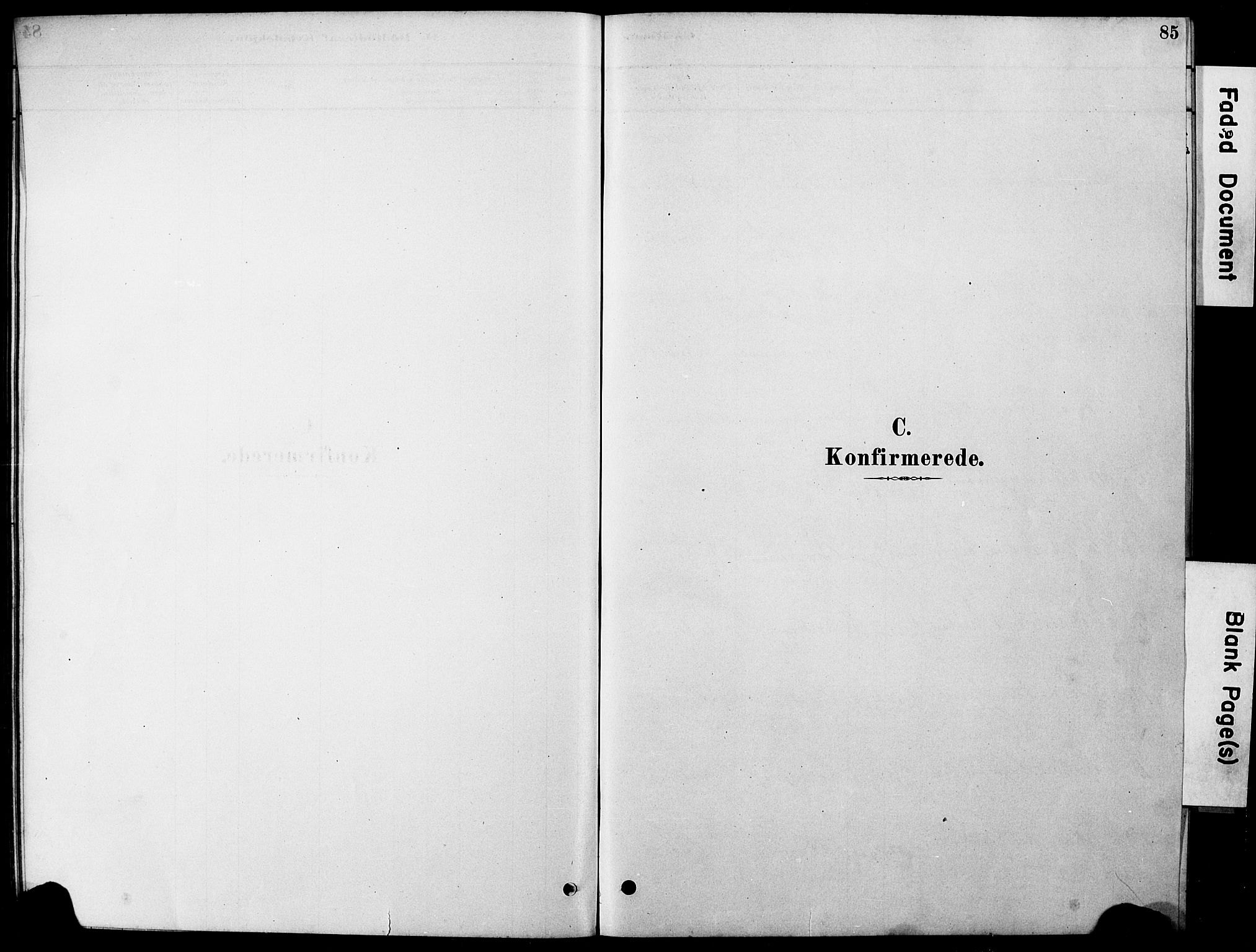 Ministerialprotokoller, klokkerbøker og fødselsregistre - Nordland, SAT/A-1459/861/L0875: Klokkerbok nr. 861C01, 1879-1887, s. 85