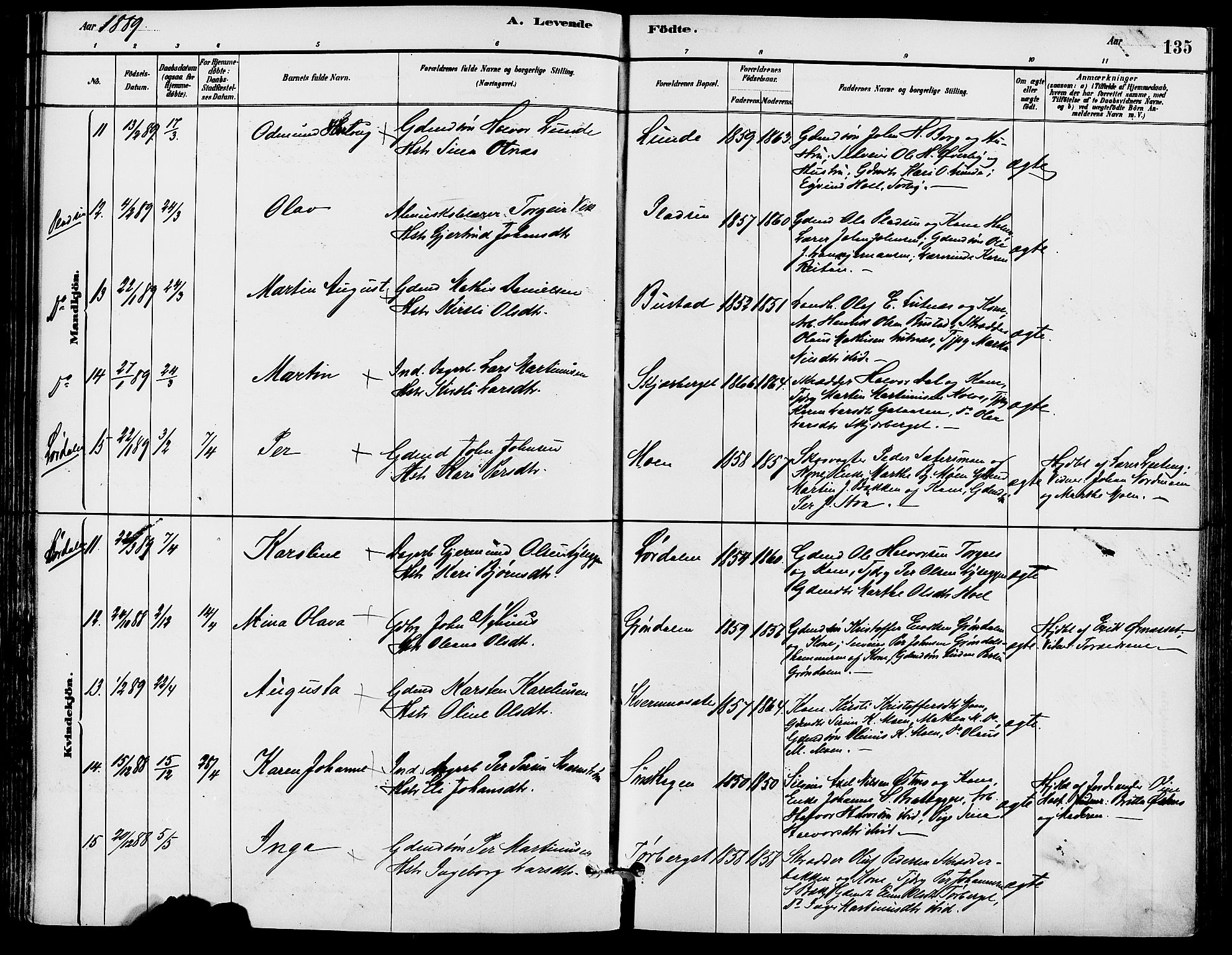 Trysil prestekontor, AV/SAH-PREST-046/H/Ha/Haa/L0008: Ministerialbok nr. 8, 1881-1897, s. 135