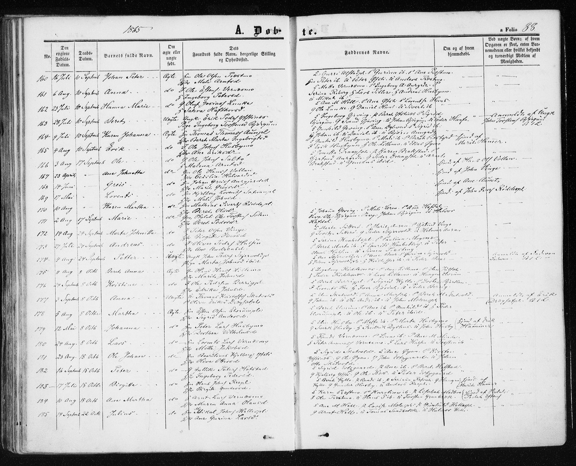 Ministerialprotokoller, klokkerbøker og fødselsregistre - Nord-Trøndelag, SAT/A-1458/709/L0075: Ministerialbok nr. 709A15, 1859-1870, s. 88