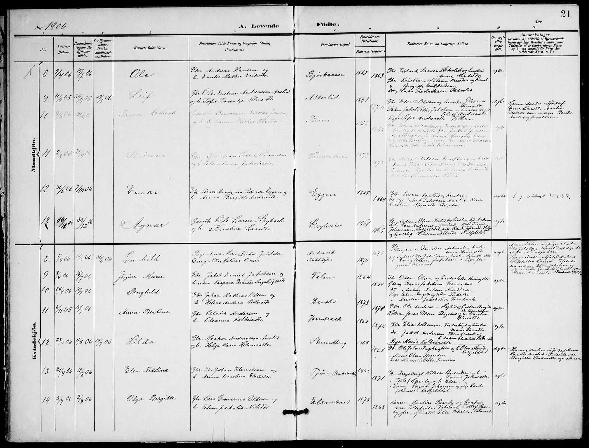 Ministerialprotokoller, klokkerbøker og fødselsregistre - Nordland, AV/SAT-A-1459/823/L0326: Ministerialbok nr. 823A03, 1899-1919, s. 21