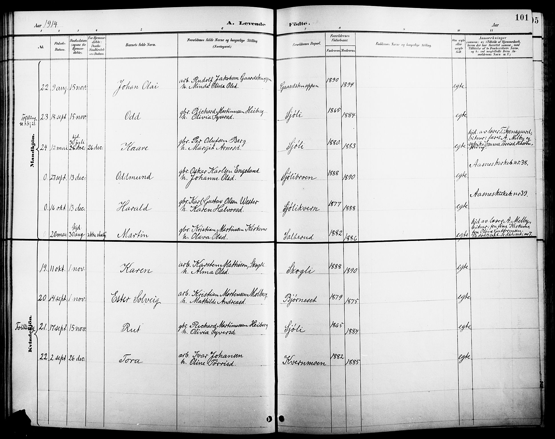 Åsnes prestekontor, AV/SAH-PREST-042/H/Ha/Hab/L0005: Klokkerbok nr. 5, 1895-1920, s. 101