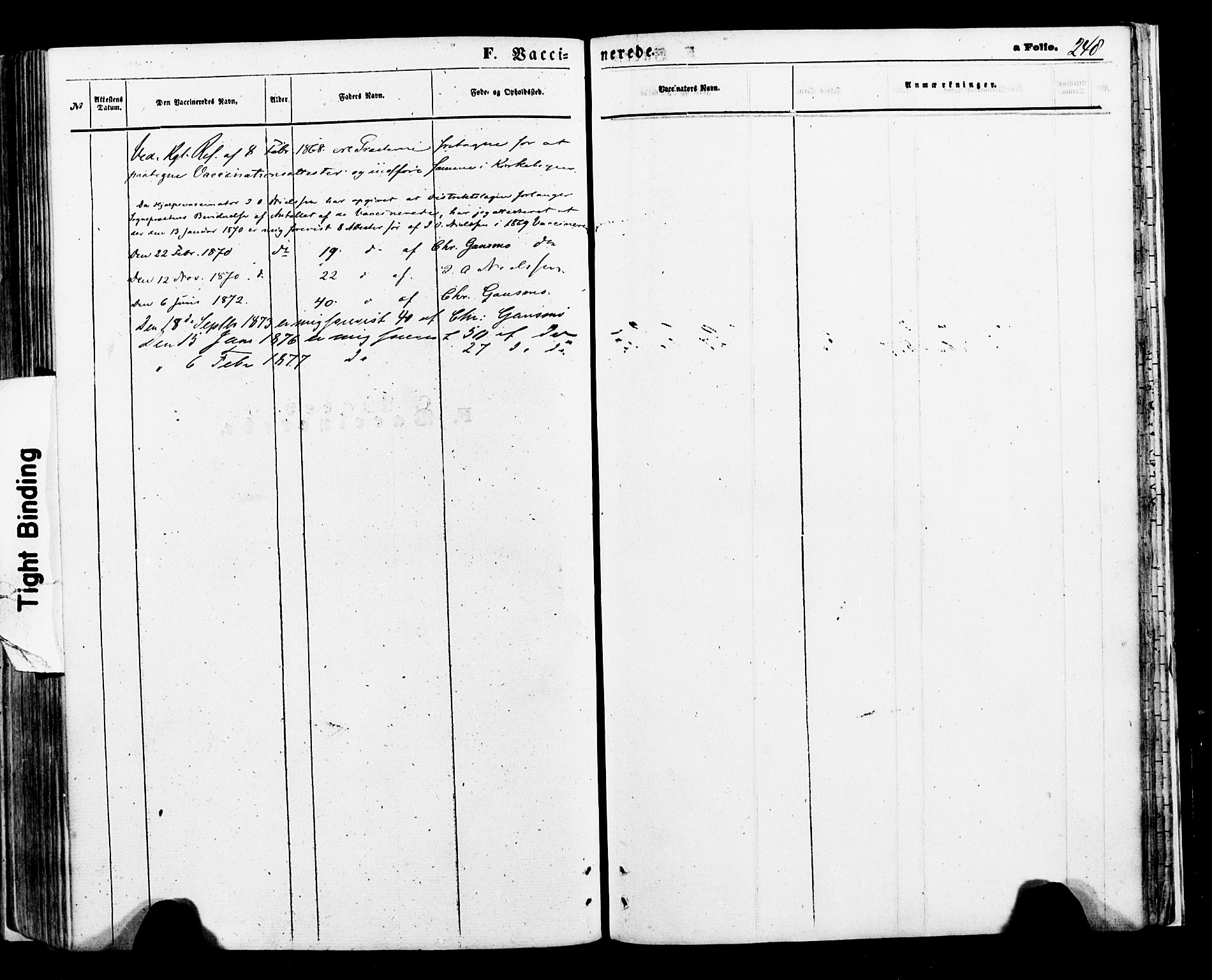 Ministerialprotokoller, klokkerbøker og fødselsregistre - Nordland, SAT/A-1459/897/L1397: Ministerialbok nr. 897A05 /1, 1867-1880, s. 248