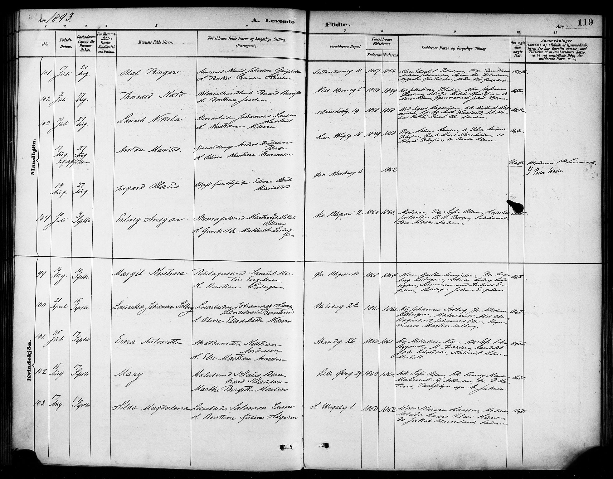Korskirken sokneprestembete, SAB/A-76101/H/Haa/L0022: Ministerialbok nr. B 8, 1889-1899, s. 119
