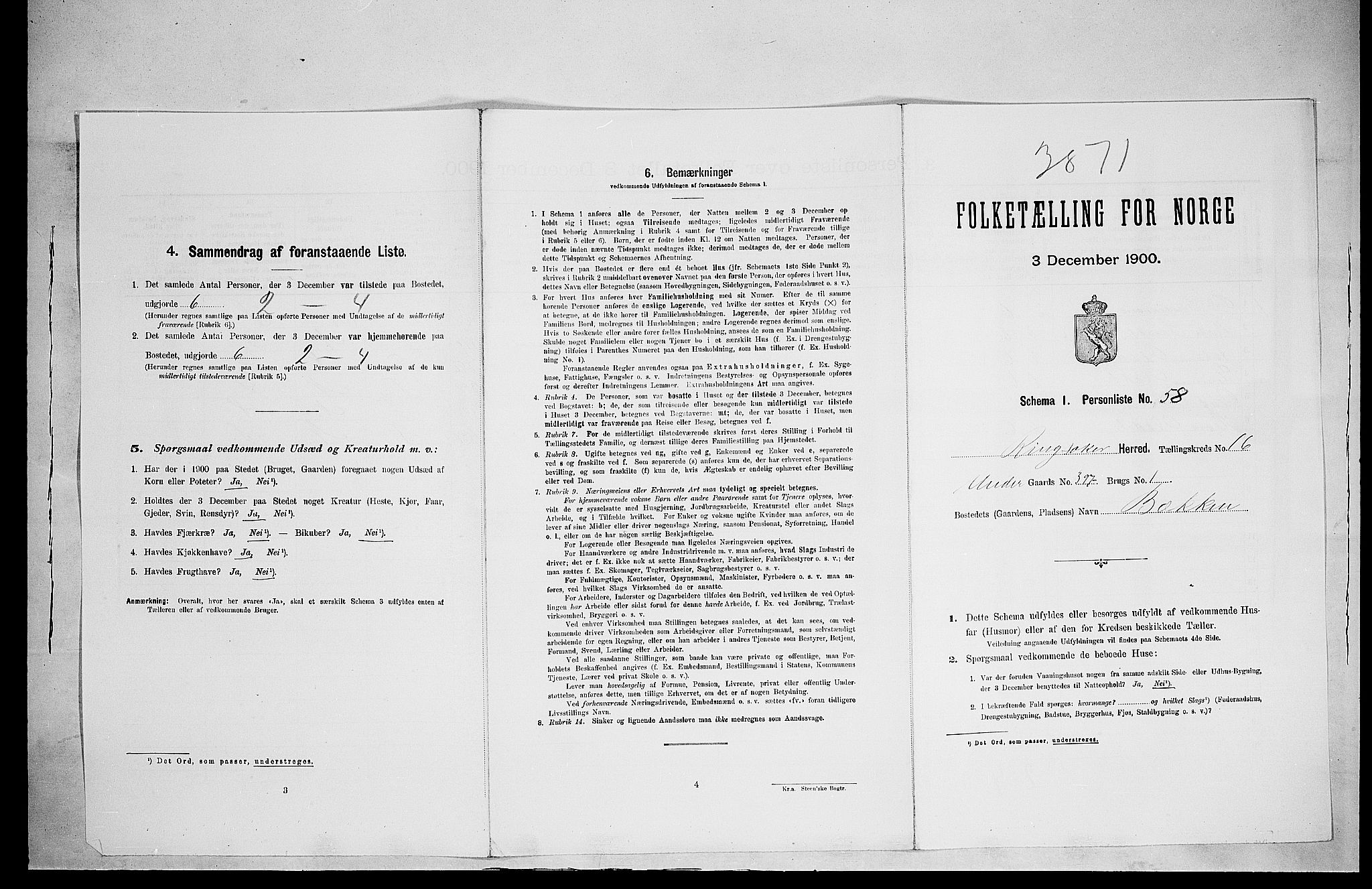 SAH, Folketelling 1900 for 0412 Ringsaker herred, 1900, s. 3058
