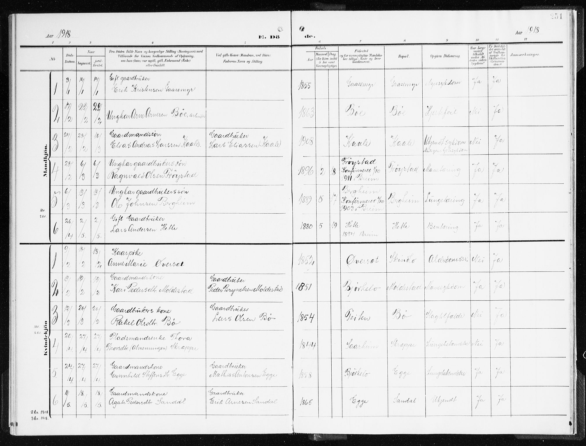 Gloppen sokneprestembete, AV/SAB-A-80101/H/Haa/Haac/L0003: Ministerialbok nr. C 3, 1904-1921, s. 251