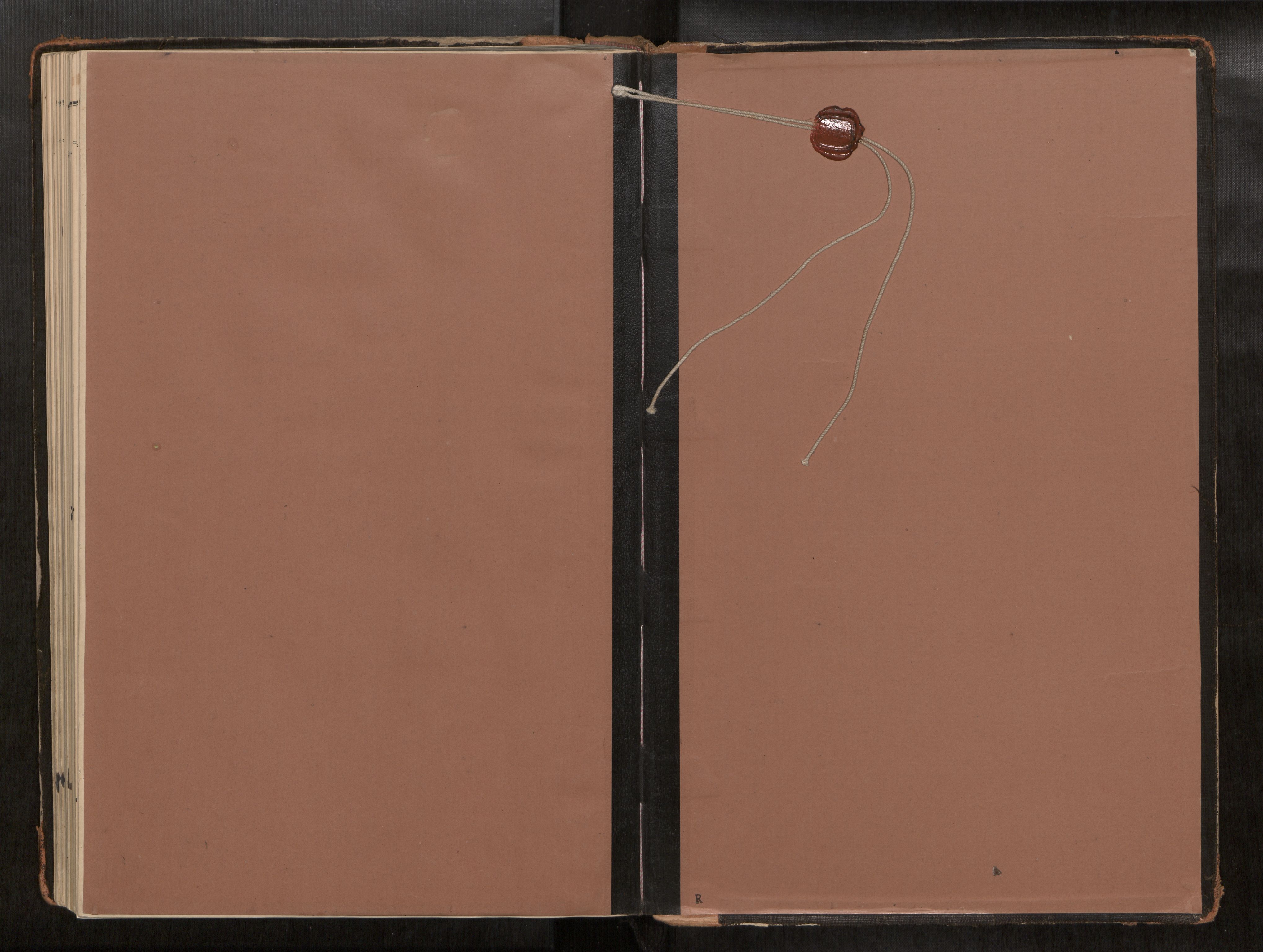 Ministerialprotokoller, klokkerbøker og fødselsregistre - Nord-Trøndelag, AV/SAT-A-1458/742/L0409a: Ministerialbok nr. 742A03, 1906-1924