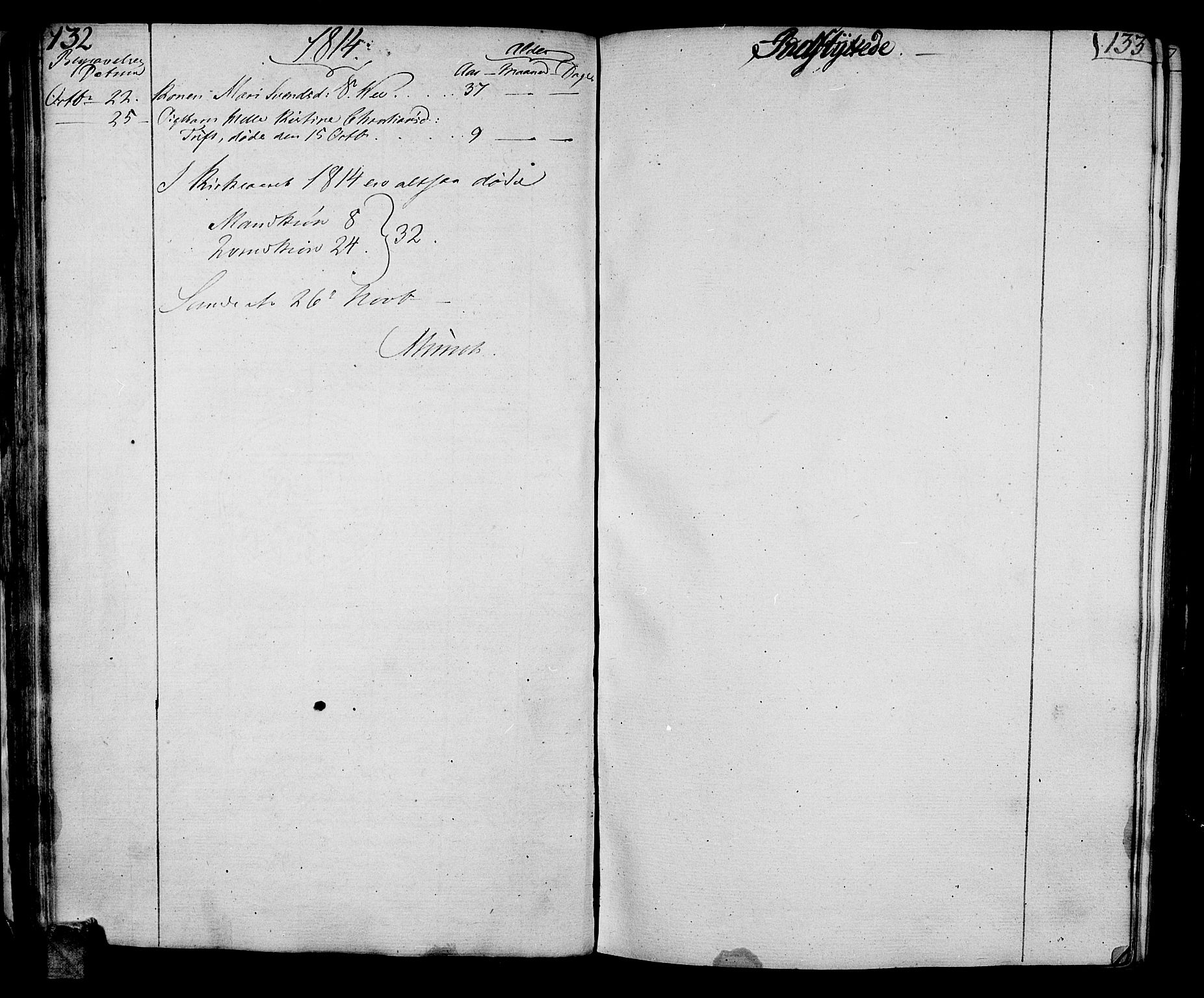 Sande Kirkebøker, AV/SAKO-A-53/F/Fa/L0002: Ministerialbok nr. 2, 1804-1814, s. 132-133