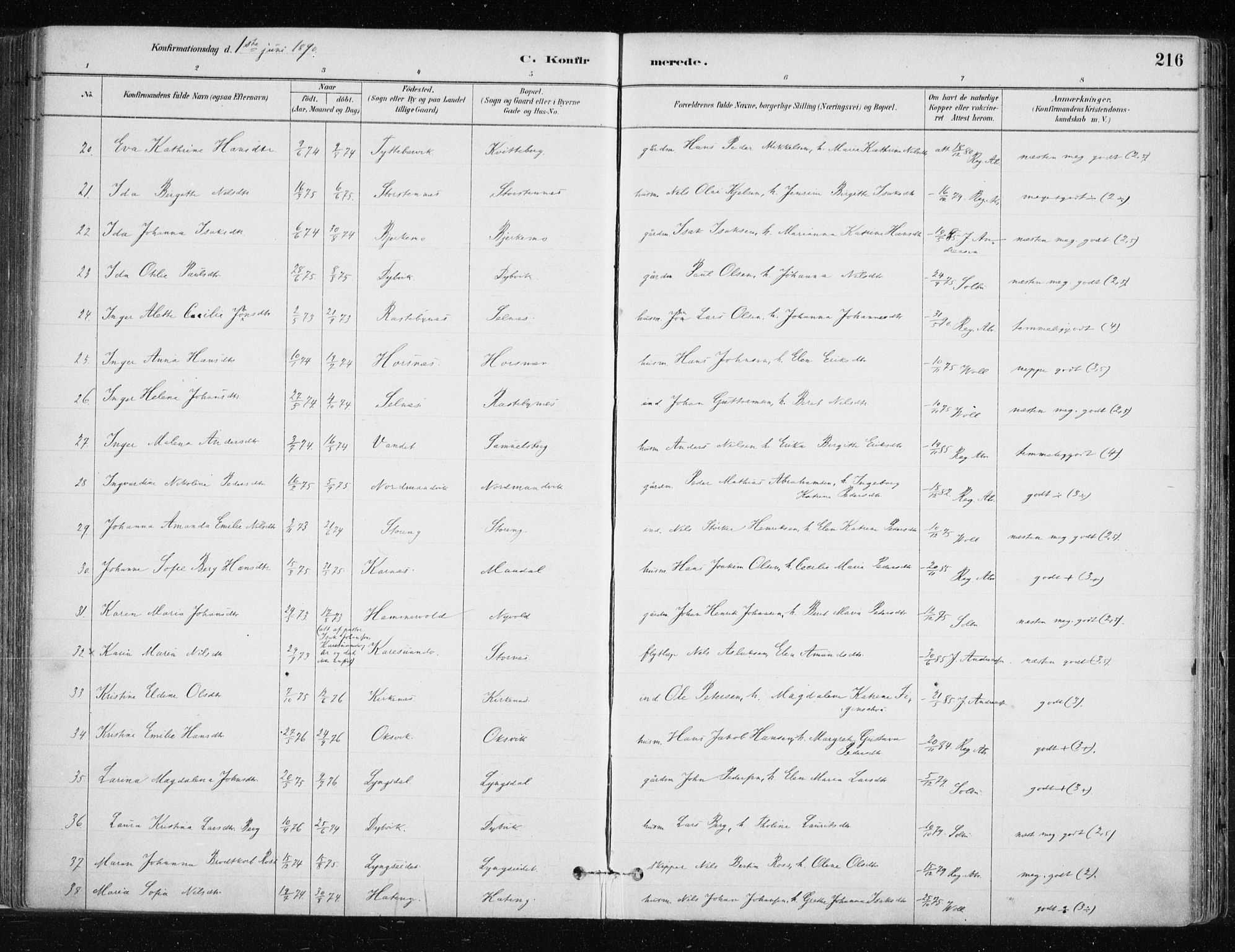 Lyngen sokneprestembete, AV/SATØ-S-1289/H/He/Hea/L0007kirke: Ministerialbok nr. 7, 1879-1890, s. 216