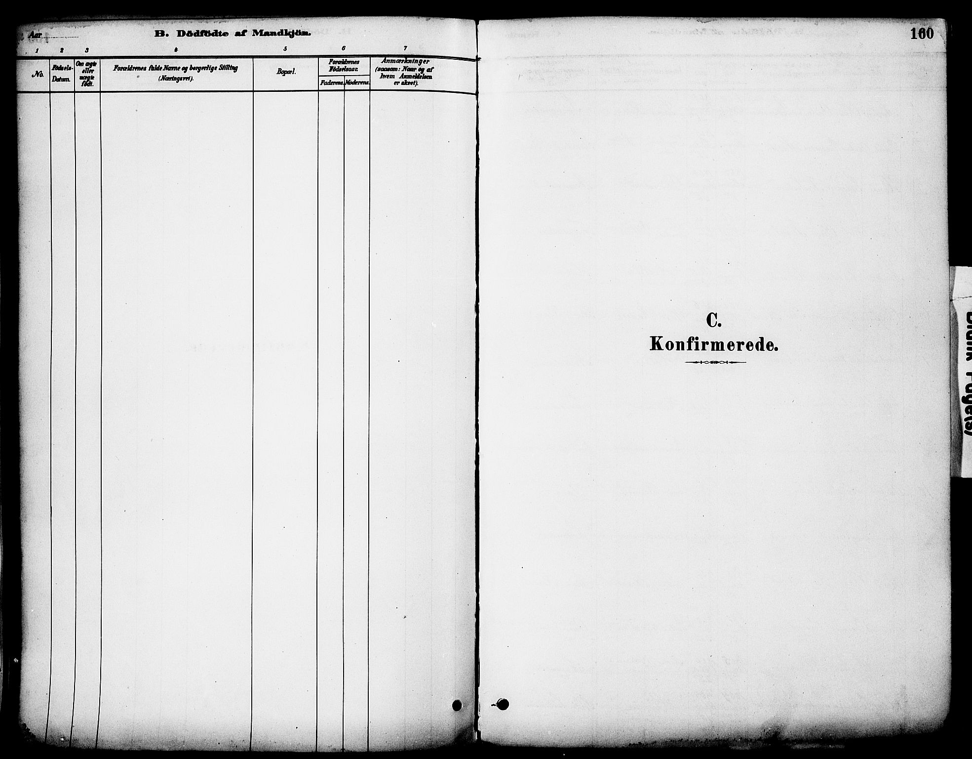 Stange prestekontor, SAH/PREST-002/K/L0017: Ministerialbok nr. 17, 1880-1893, s. 160