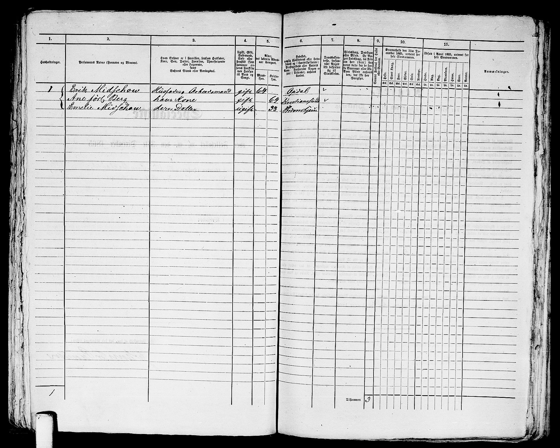 RA, Folketelling 1865 for 1601 Trondheim kjøpstad, 1865, s. 2419