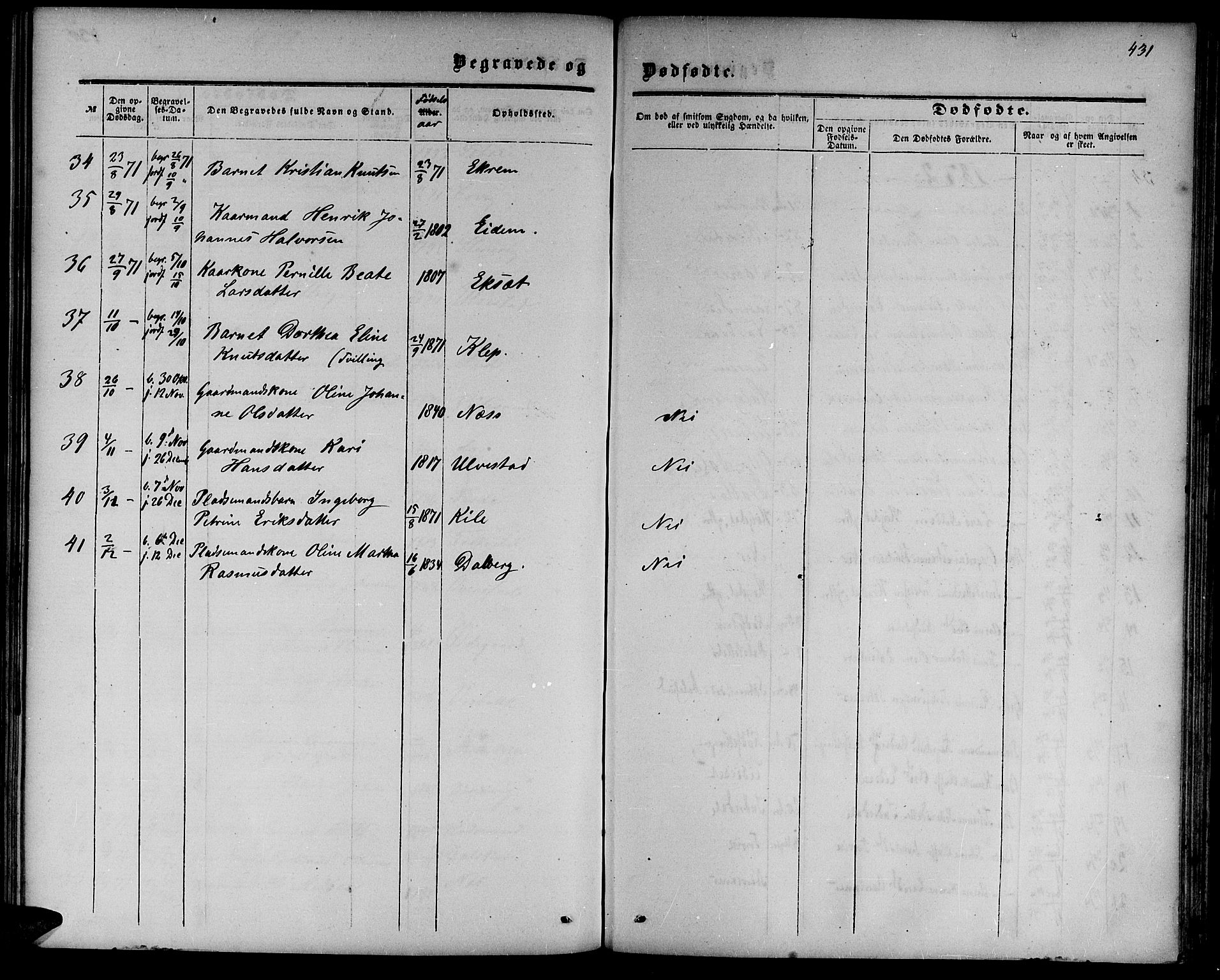 Ministerialprotokoller, klokkerbøker og fødselsregistre - Møre og Romsdal, AV/SAT-A-1454/511/L0157: Klokkerbok nr. 511C03, 1864-1884, s. 431