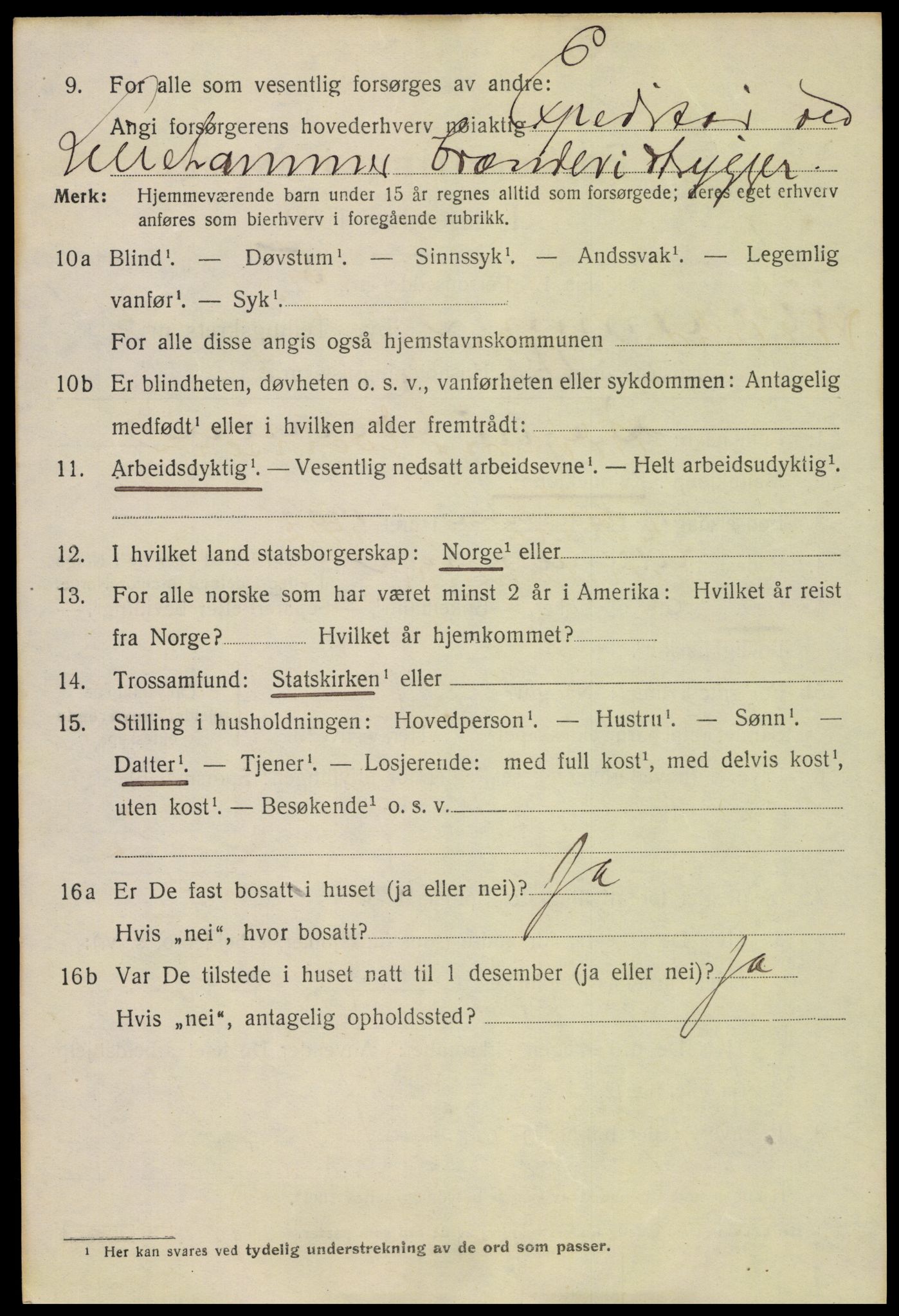 SAH, Folketelling 1920 for 0501 Lillehammer kjøpstad, 1920, s. 8213