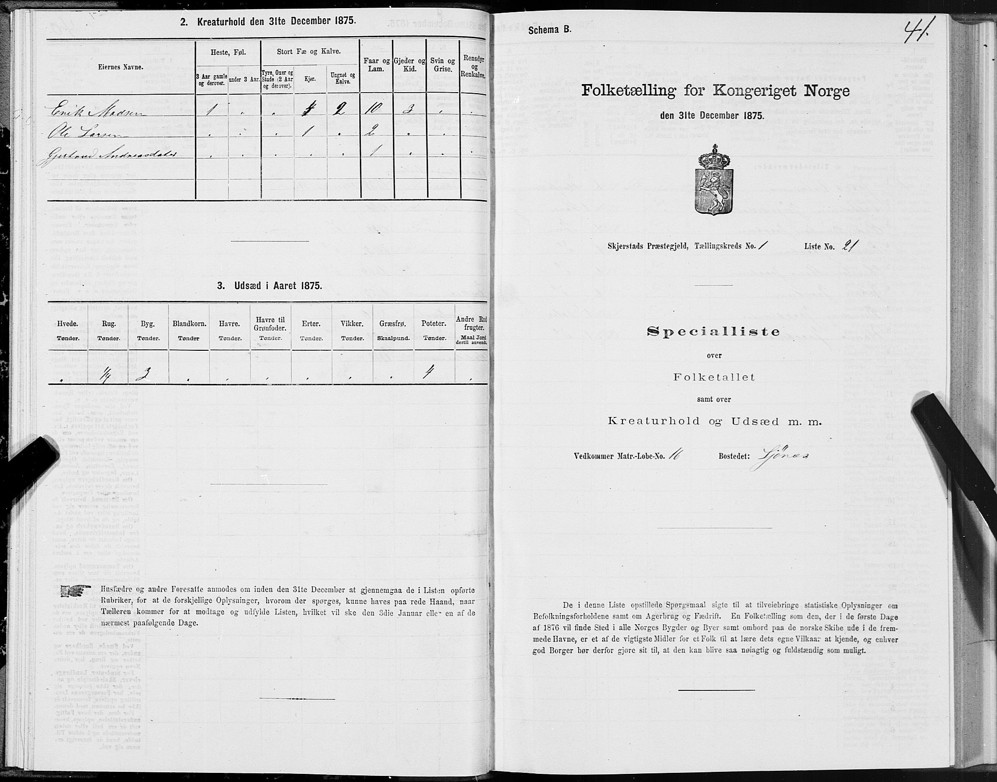 SAT, Folketelling 1875 for 1842P Skjerstad prestegjeld, 1875, s. 1041