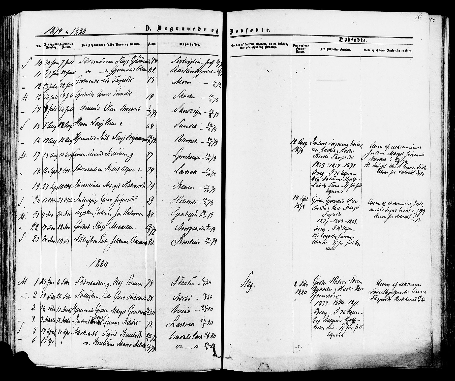 Mo kirkebøker, AV/SAKO-A-286/F/Fa/L0006: Ministerialbok nr. I 6, 1865-1885, s. 251