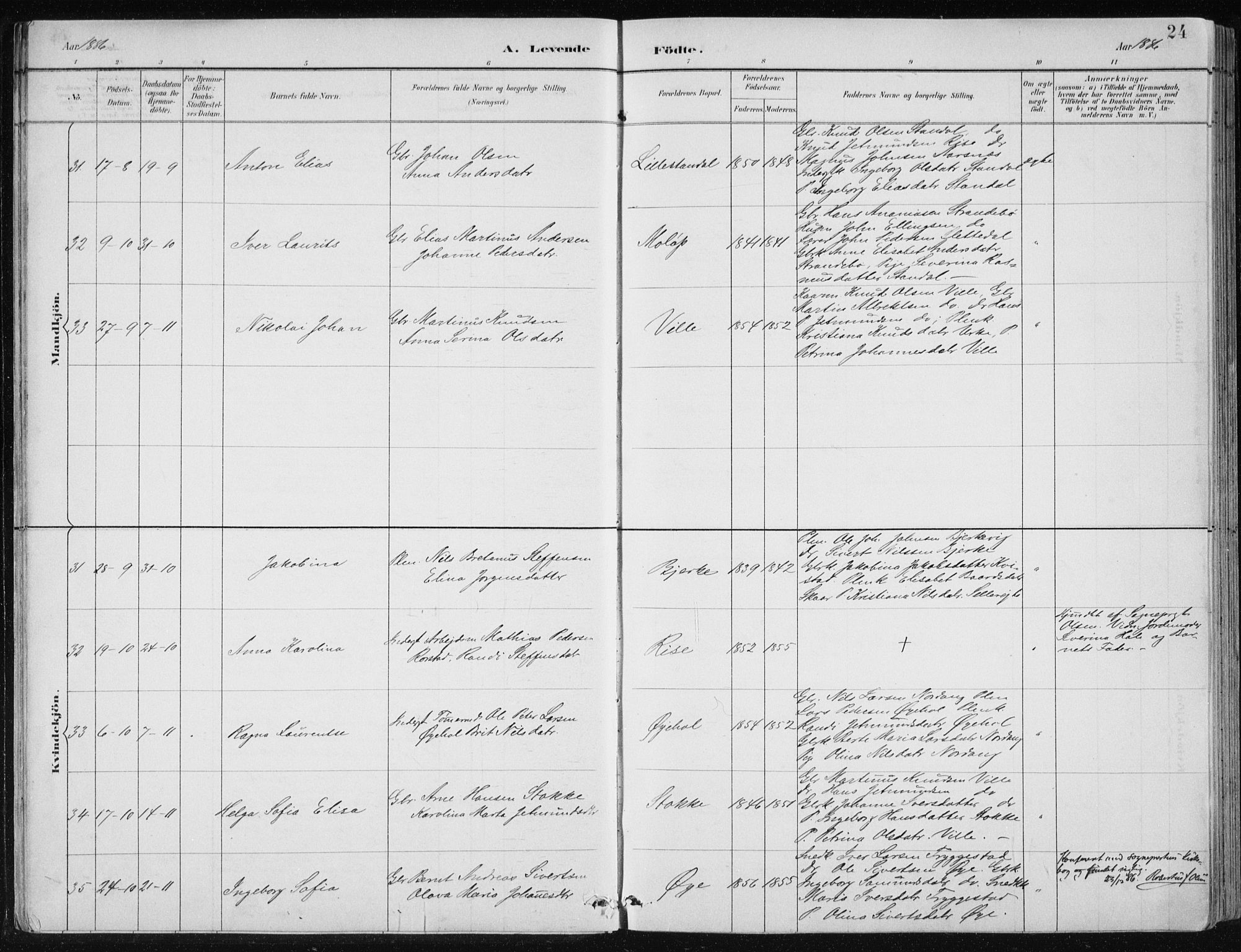 Ministerialprotokoller, klokkerbøker og fødselsregistre - Møre og Romsdal, AV/SAT-A-1454/515/L0215: Klokkerbok nr. 515C02, 1884-1906, s. 24