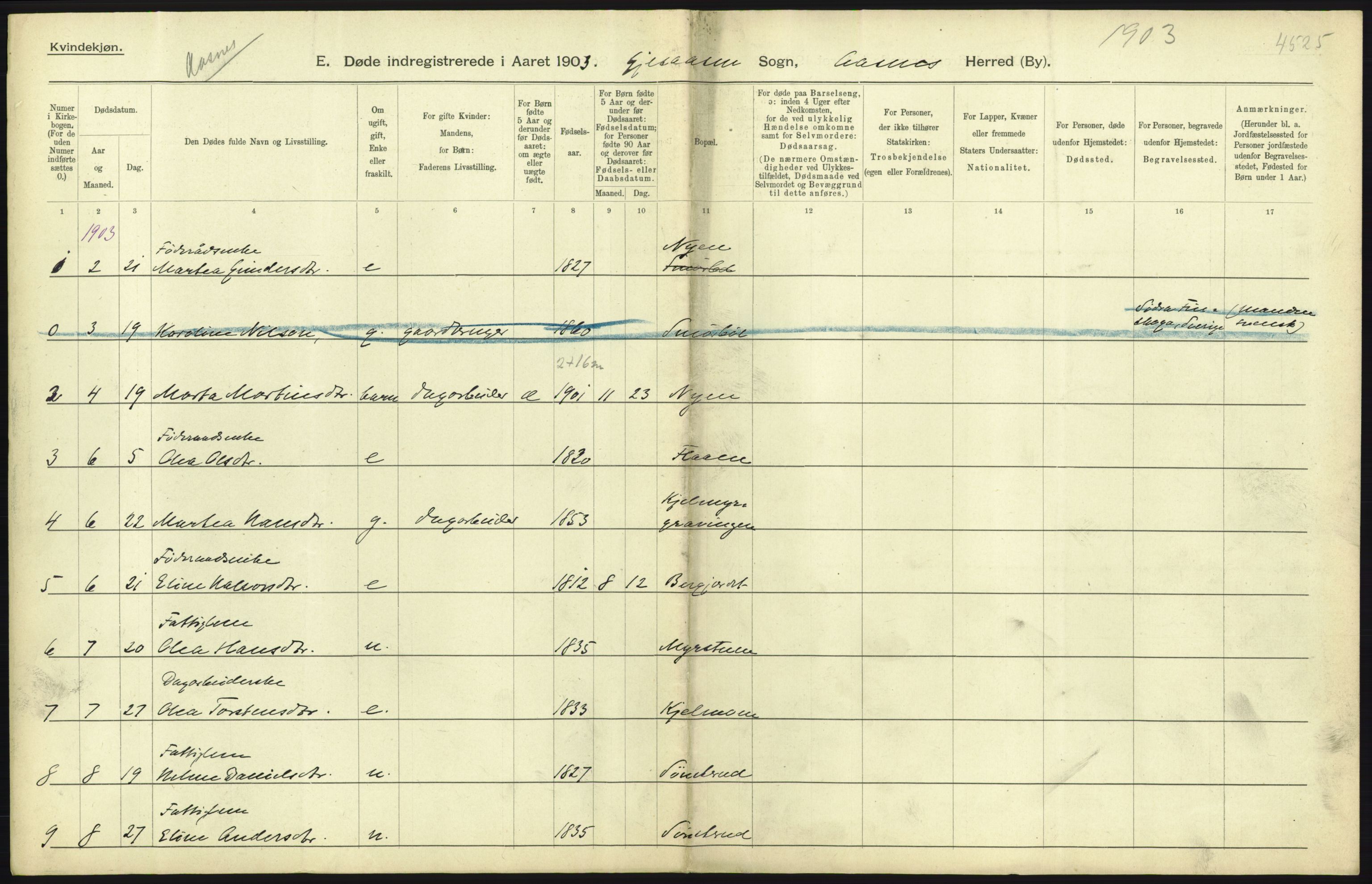 Statistisk sentralbyrå, Sosiodemografiske emner, Befolkning, AV/RA-S-2228/D/Df/Dfa/Dfaa/L0005: Hedemarkens amt: Fødte, gifte, døde, 1903, s. 447