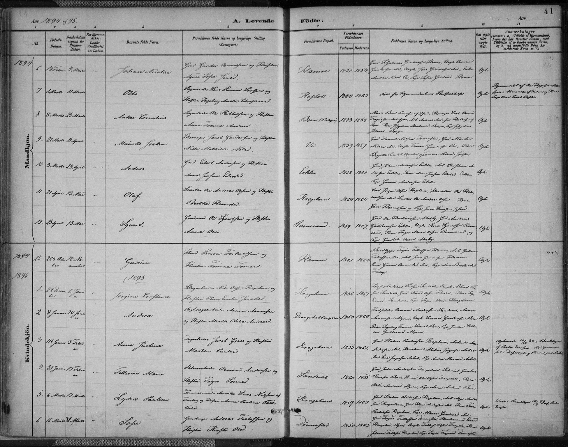 Tveit sokneprestkontor, AV/SAK-1111-0043/F/Fa/L0007: Ministerialbok nr. A 7, 1887-1908, s. 41