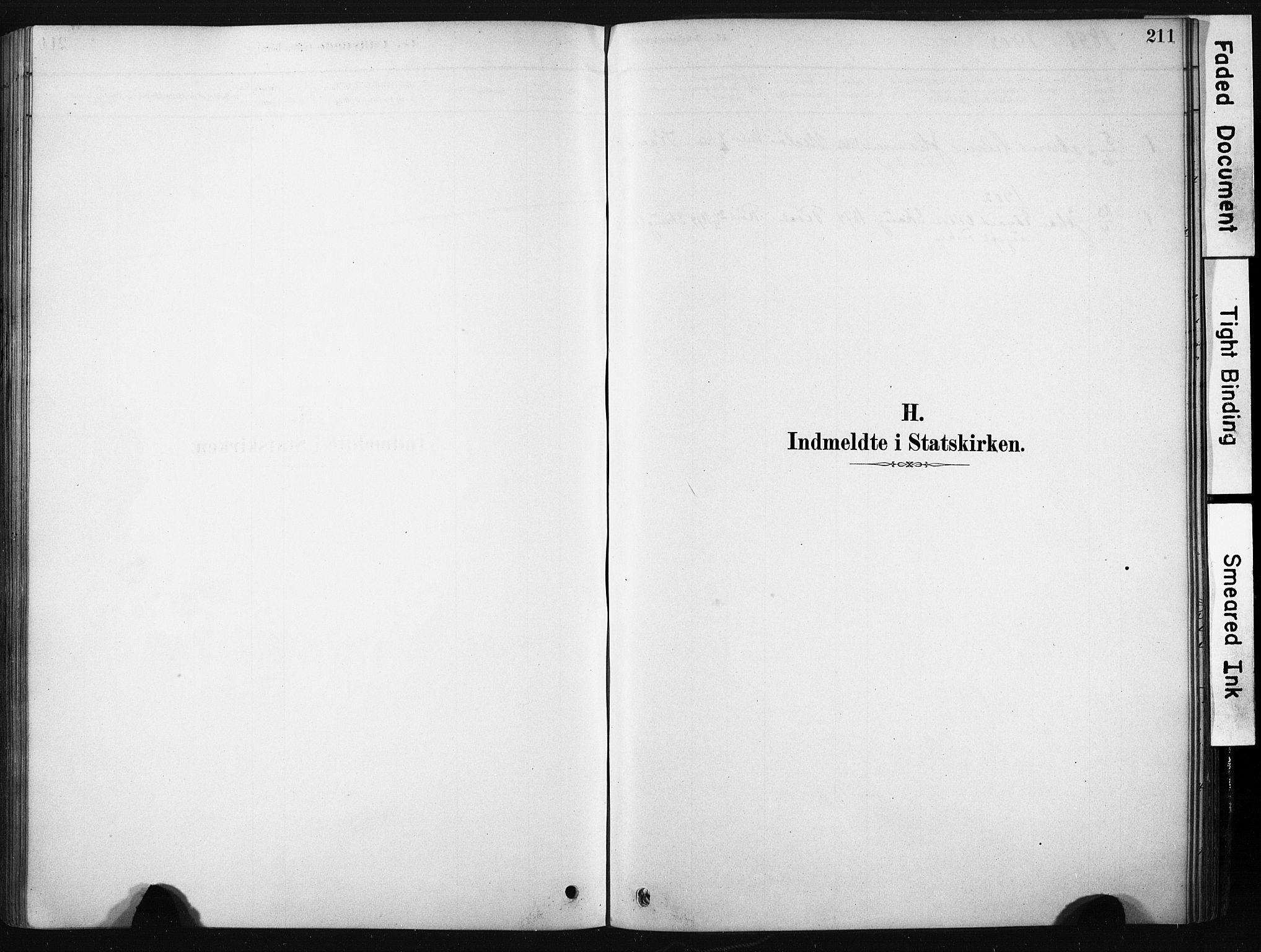 Ministerialprotokoller, klokkerbøker og fødselsregistre - Nordland, SAT/A-1459/808/L0128: Ministerialbok nr. 808A01, 1880-1902, s. 211