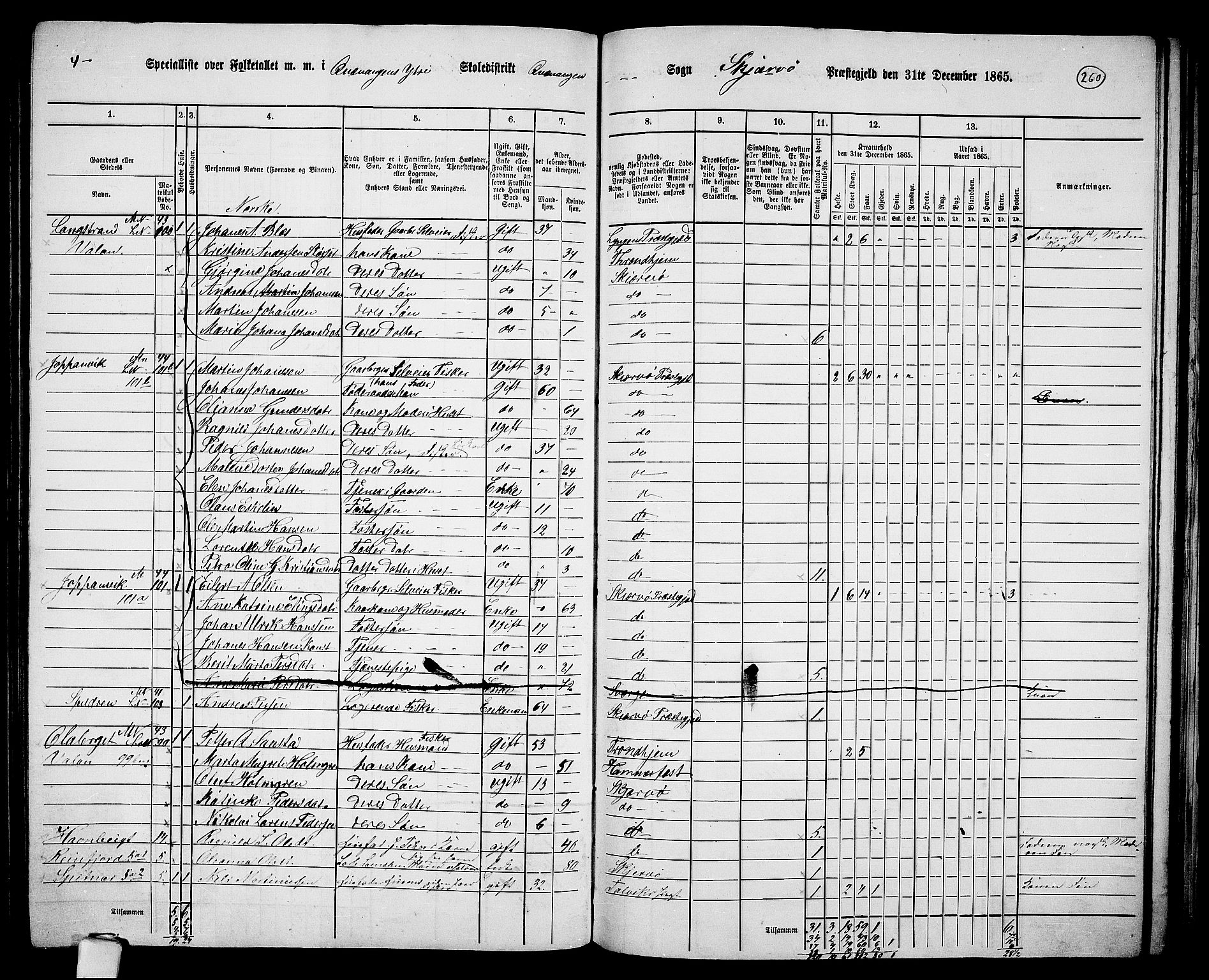 RA, Folketelling 1865 for 1941P Skjervøy prestegjeld, 1865, s. 136