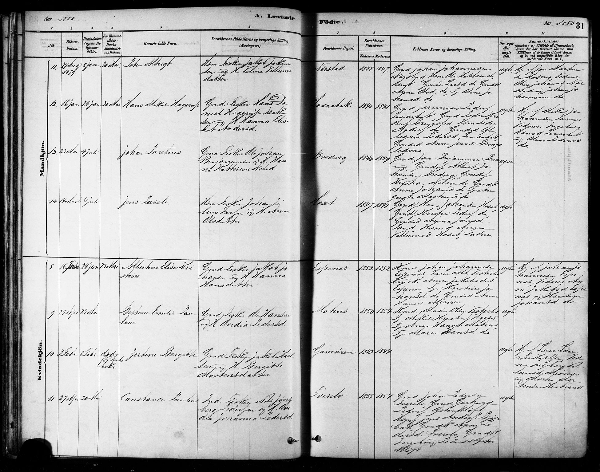 Ministerialprotokoller, klokkerbøker og fødselsregistre - Nordland, SAT/A-1459/852/L0740: Ministerialbok nr. 852A10, 1878-1894, s. 31